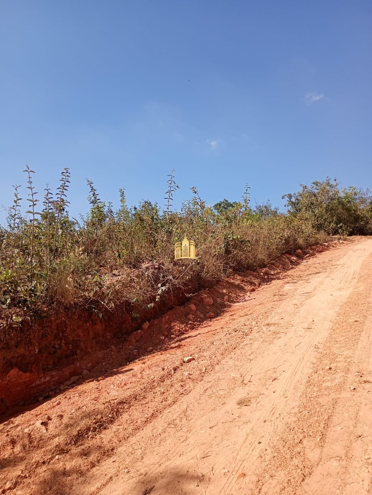 Terreno à venda, 2700m² - Foto 10