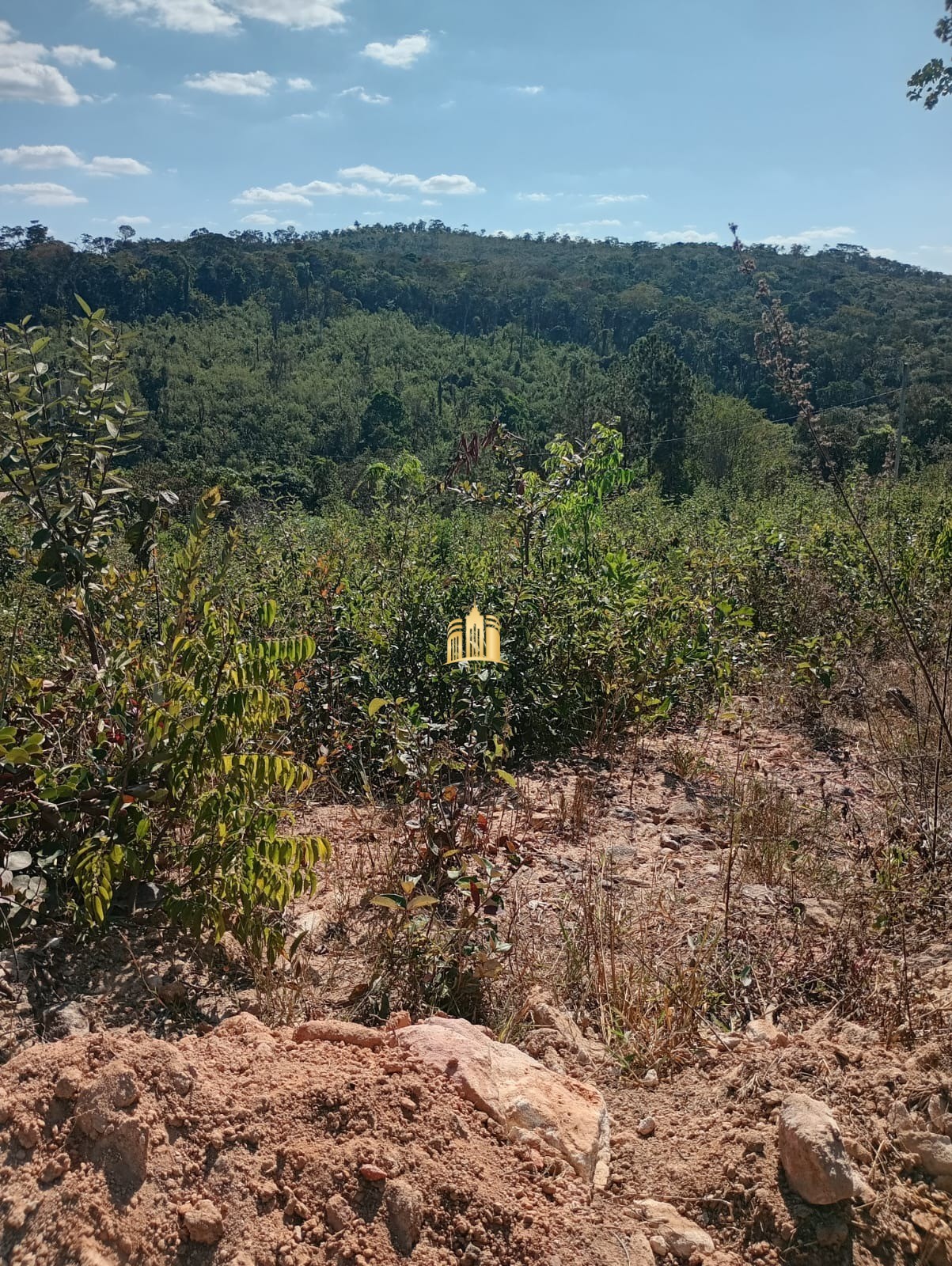 Terreno à venda, 2700m² - Foto 8