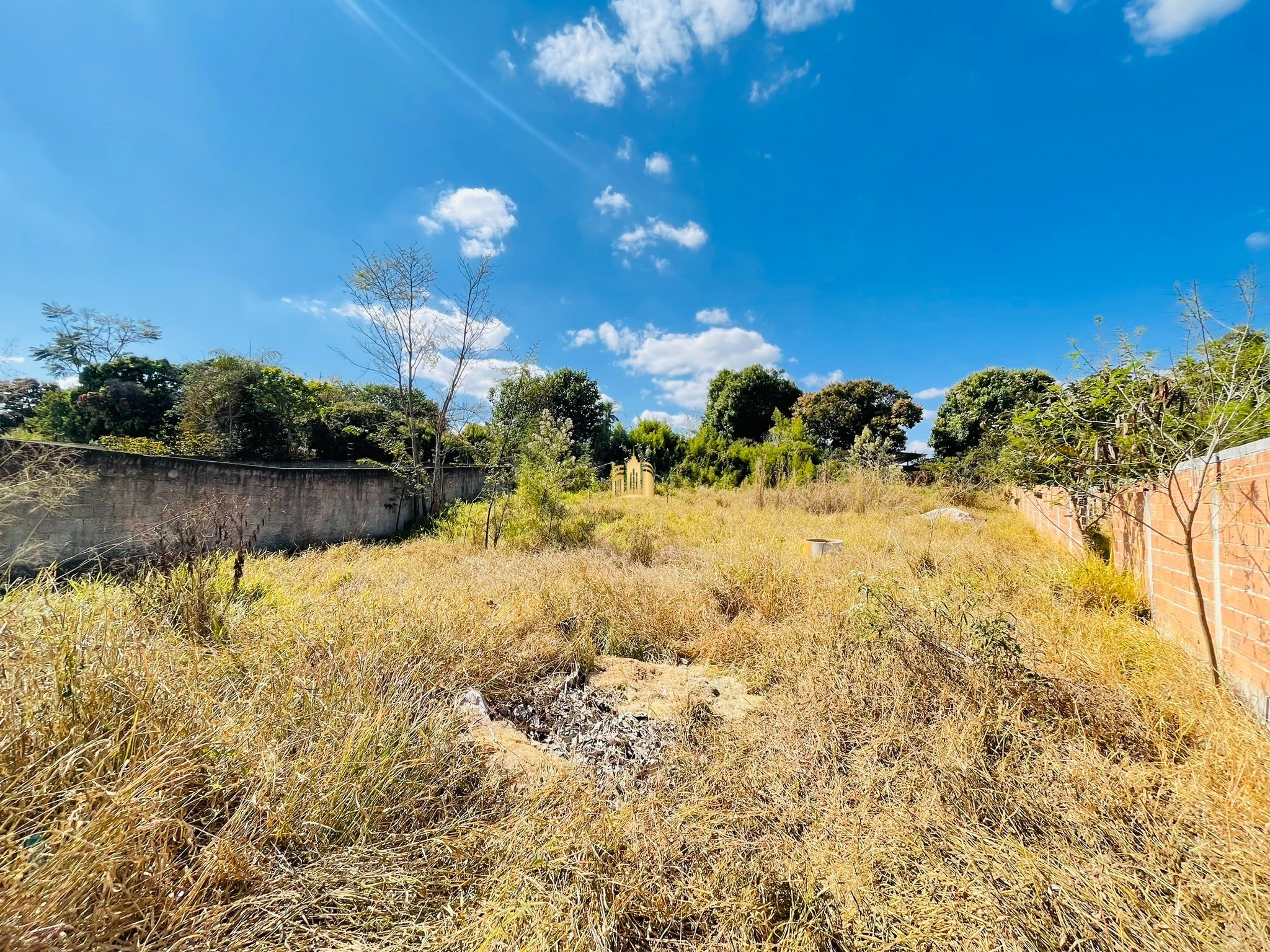 Terreno à venda, 999m² - Foto 5