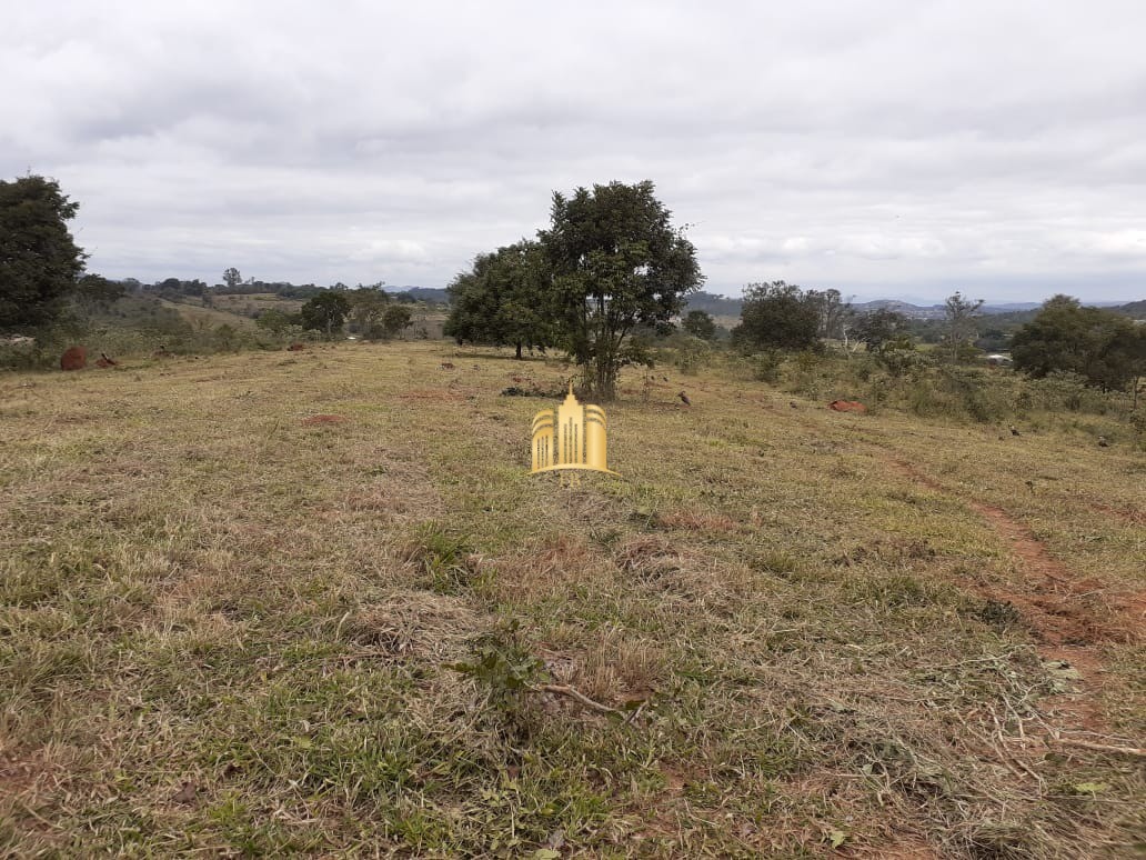 Terreno à venda, 20000m² - Foto 5