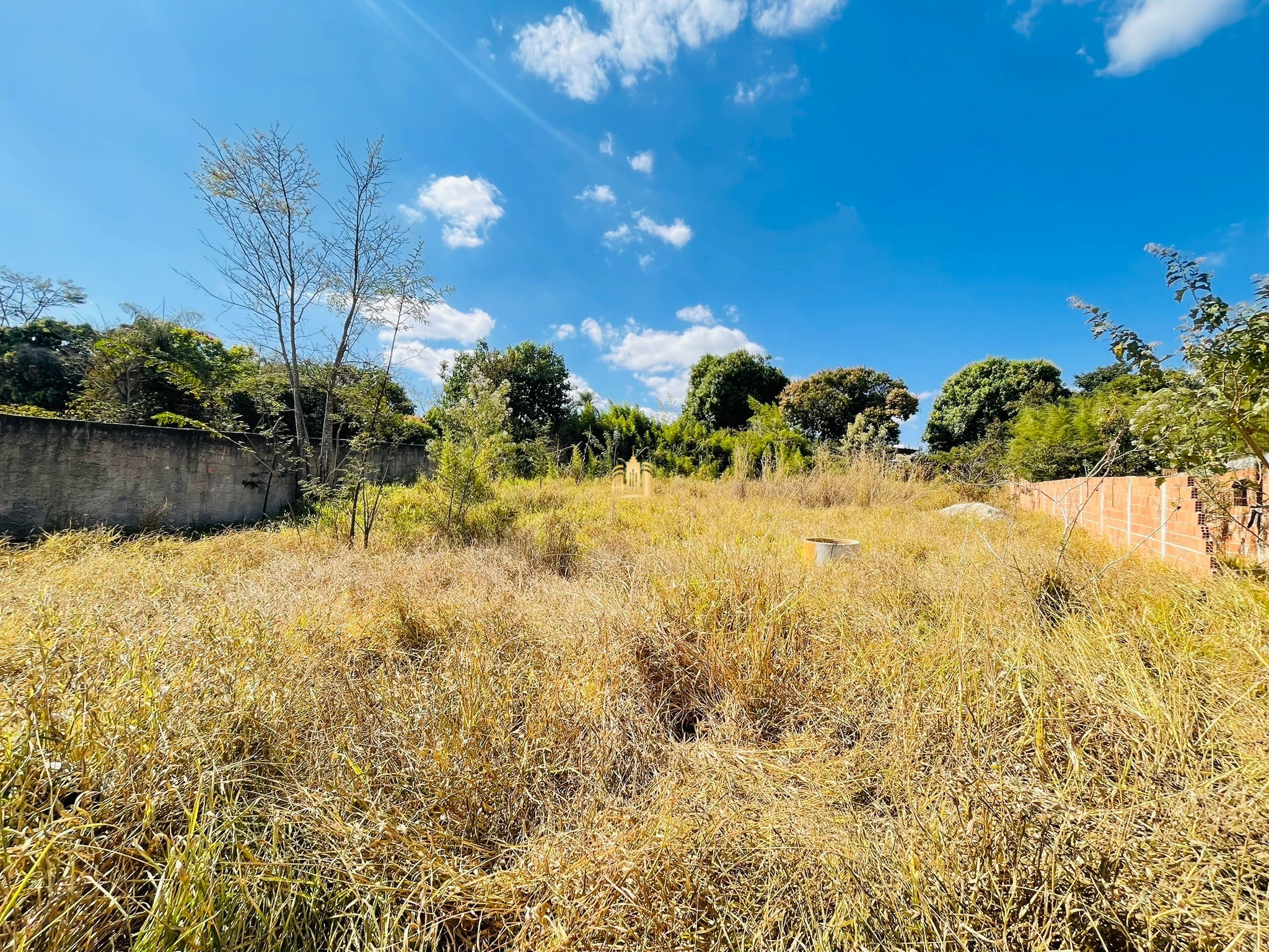 Terreno à venda, 999m² - Foto 4