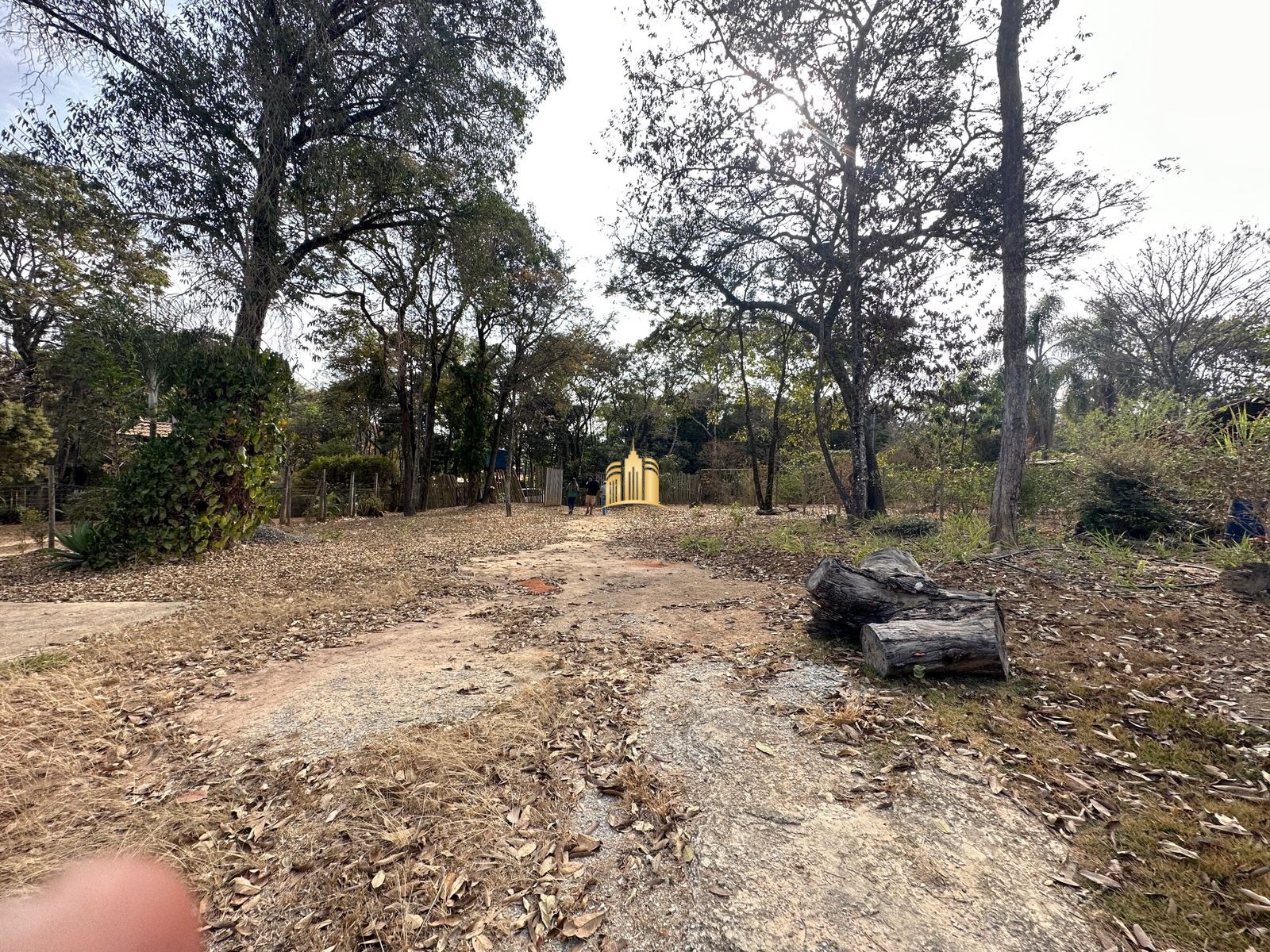 Sítio, 1 quarto, 5000 m² - Foto 7