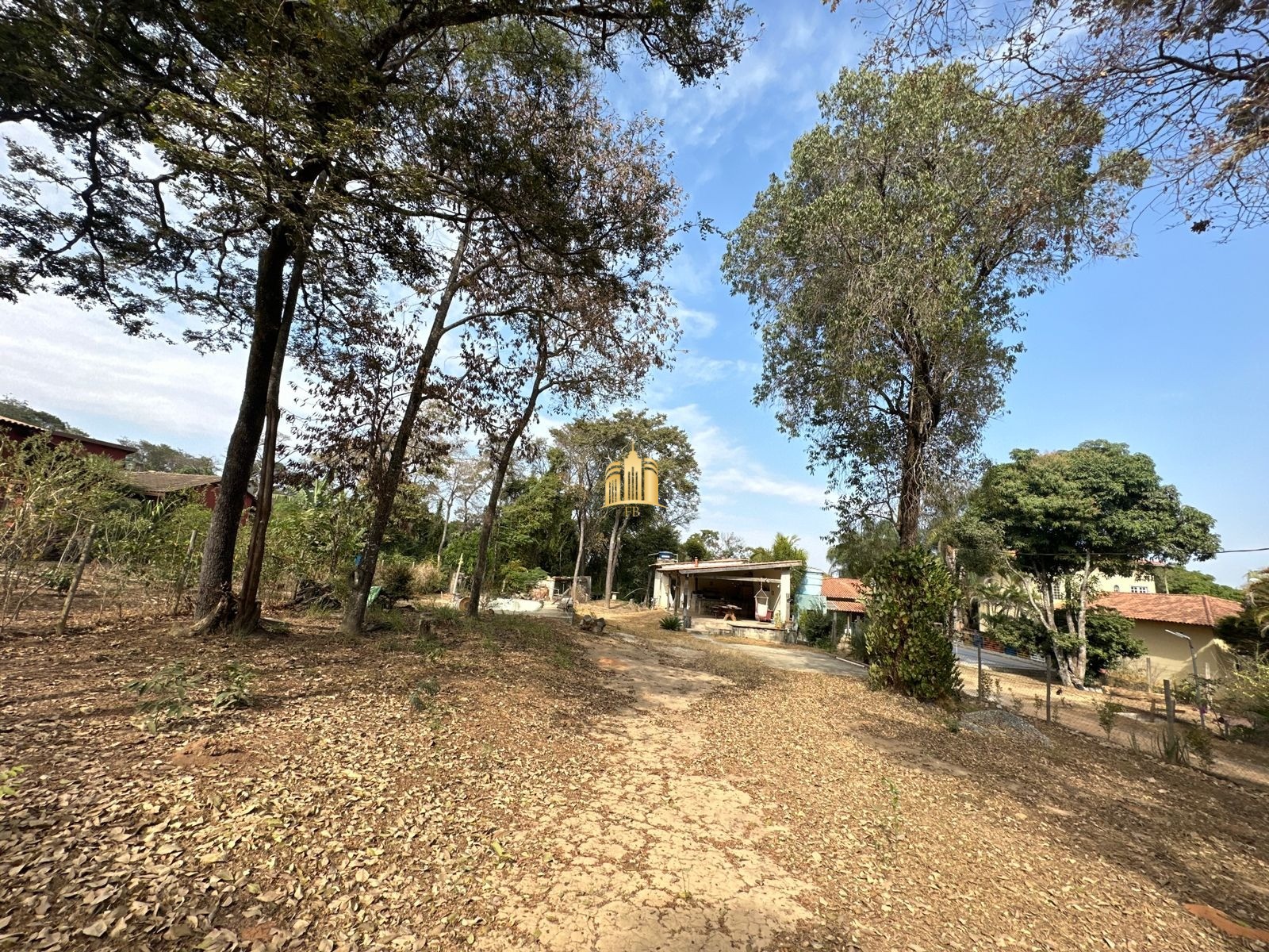 Sítio, 1 quarto, 5000 m² - Foto 5