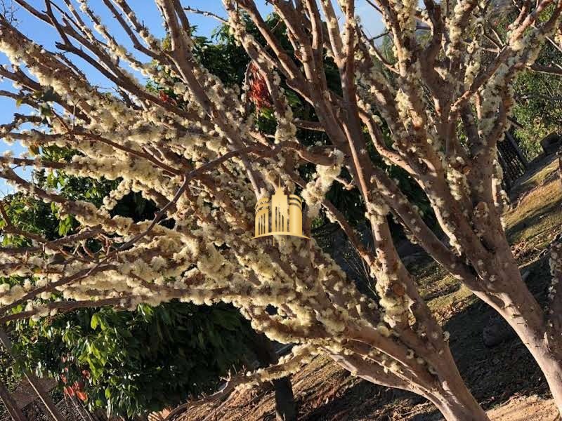 Sítio, 6 quartos, 5000 m² - Foto 27