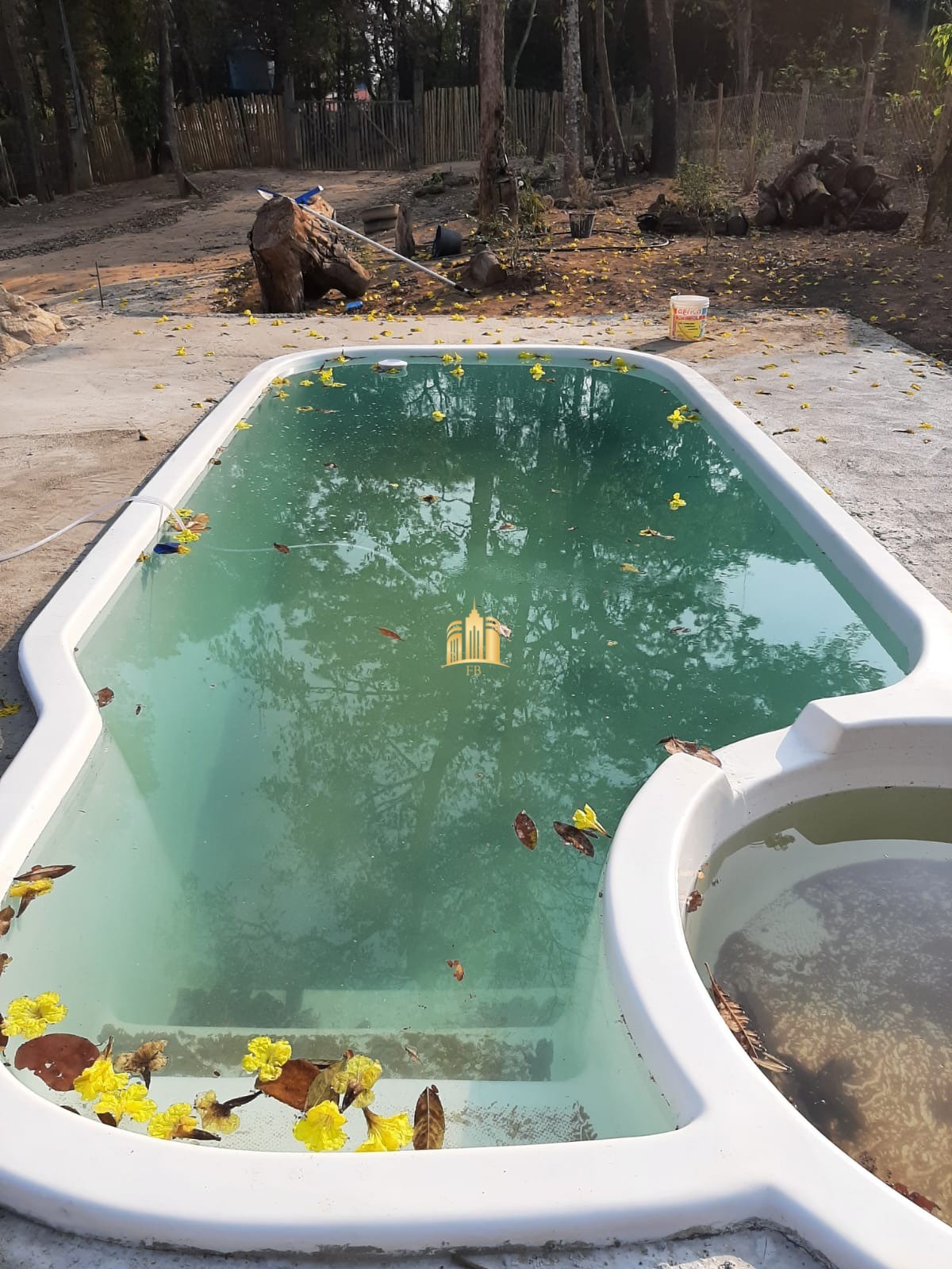 Sítio, 1 quarto, 5000 m² - Foto 11