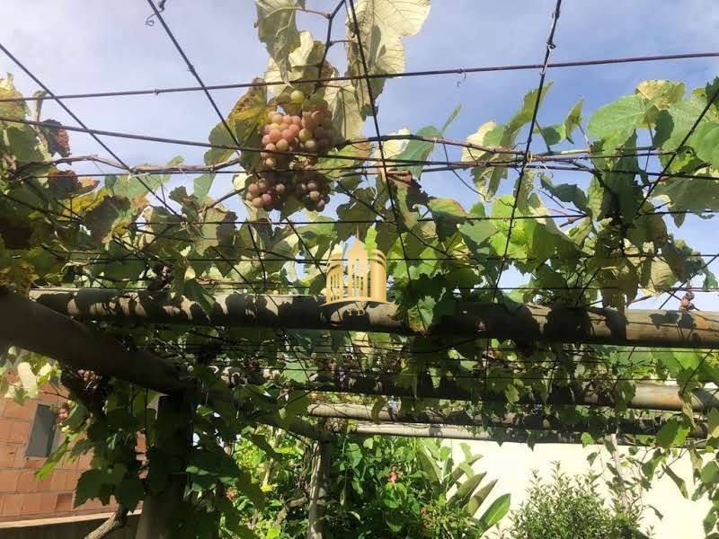 Sítio, 6 quartos, 5000 m² - Foto 25