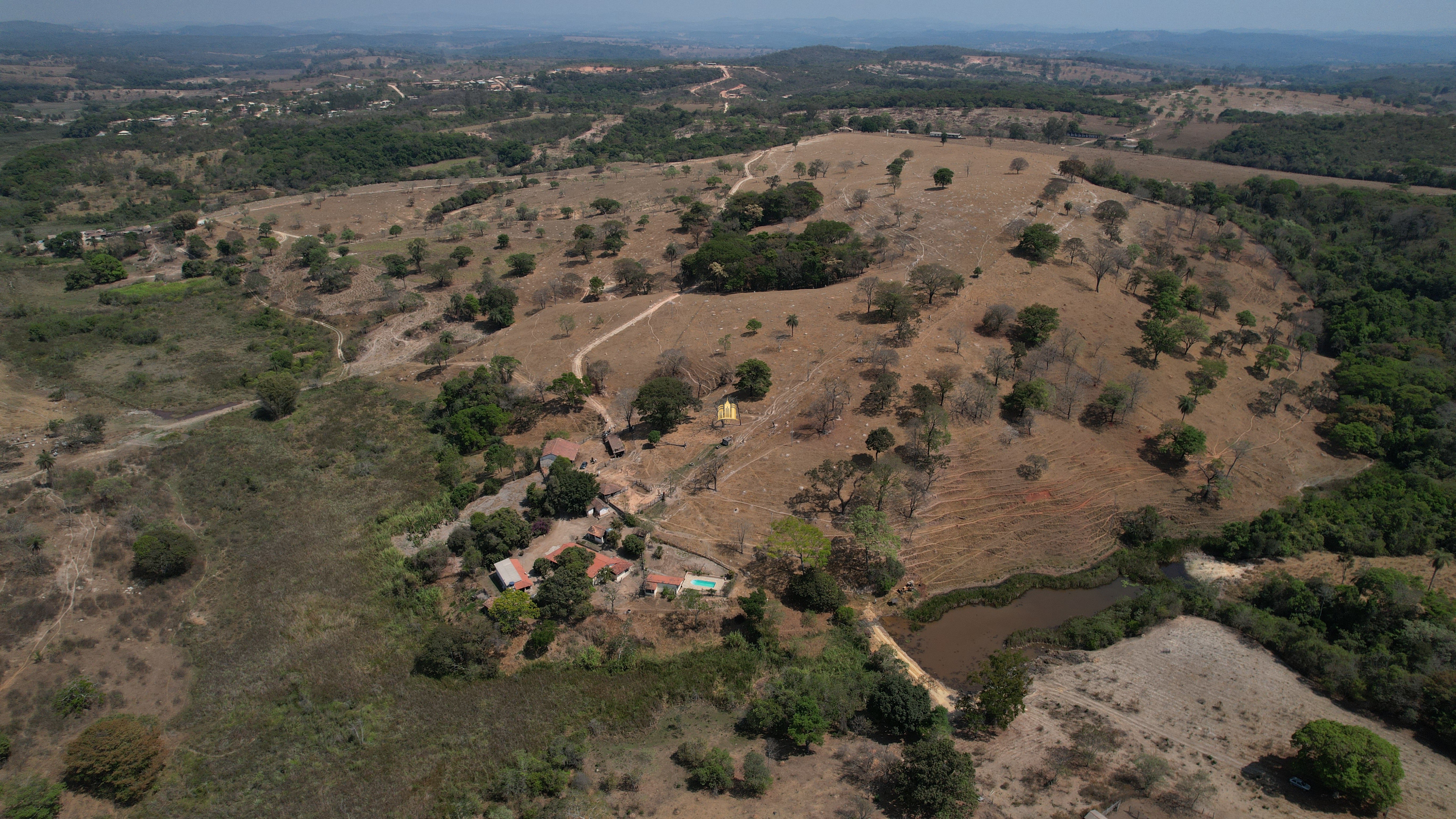 Fazenda à venda, 197000m² - Foto 4