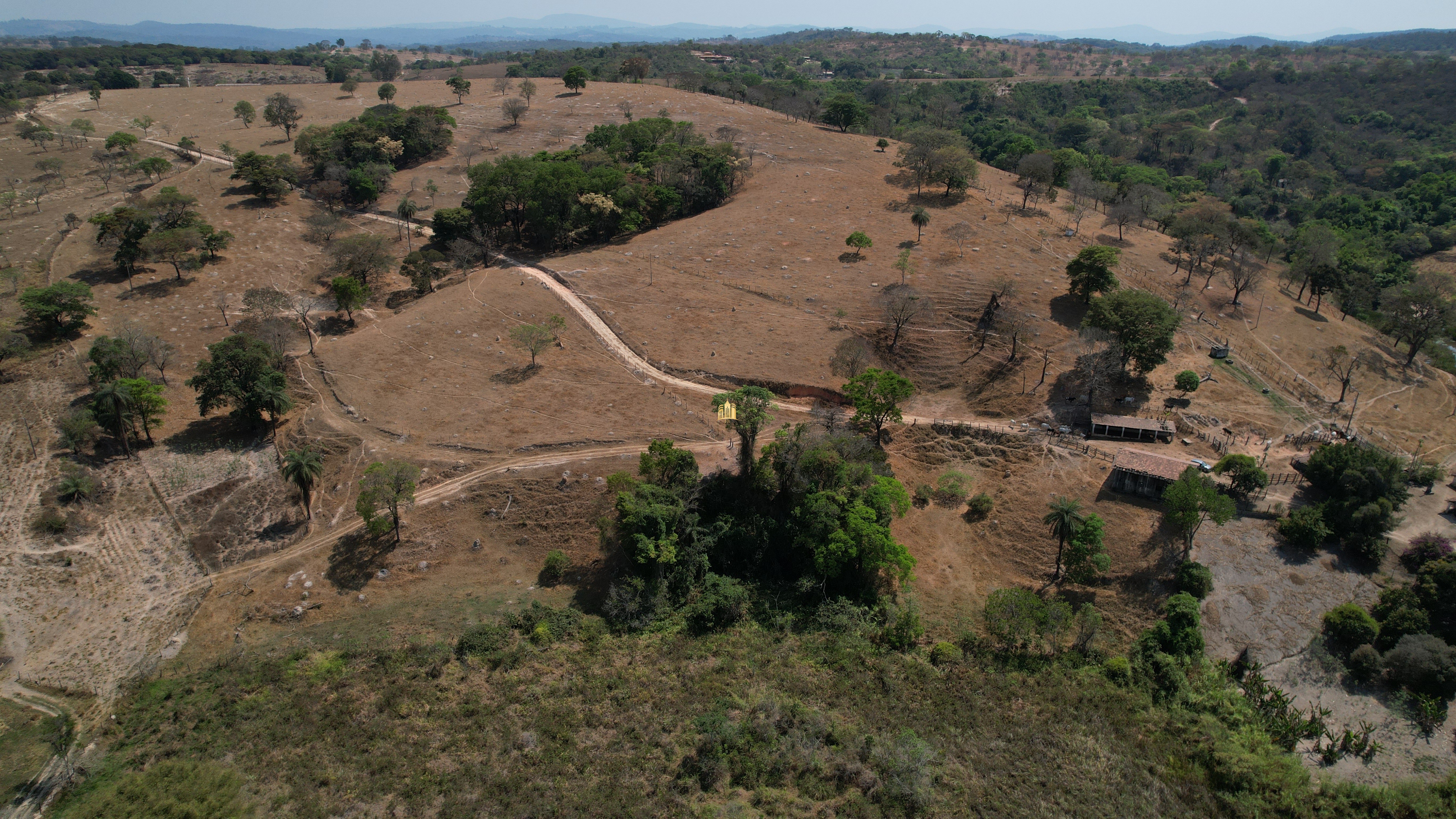 Fazenda à venda, 197000m² - Foto 15