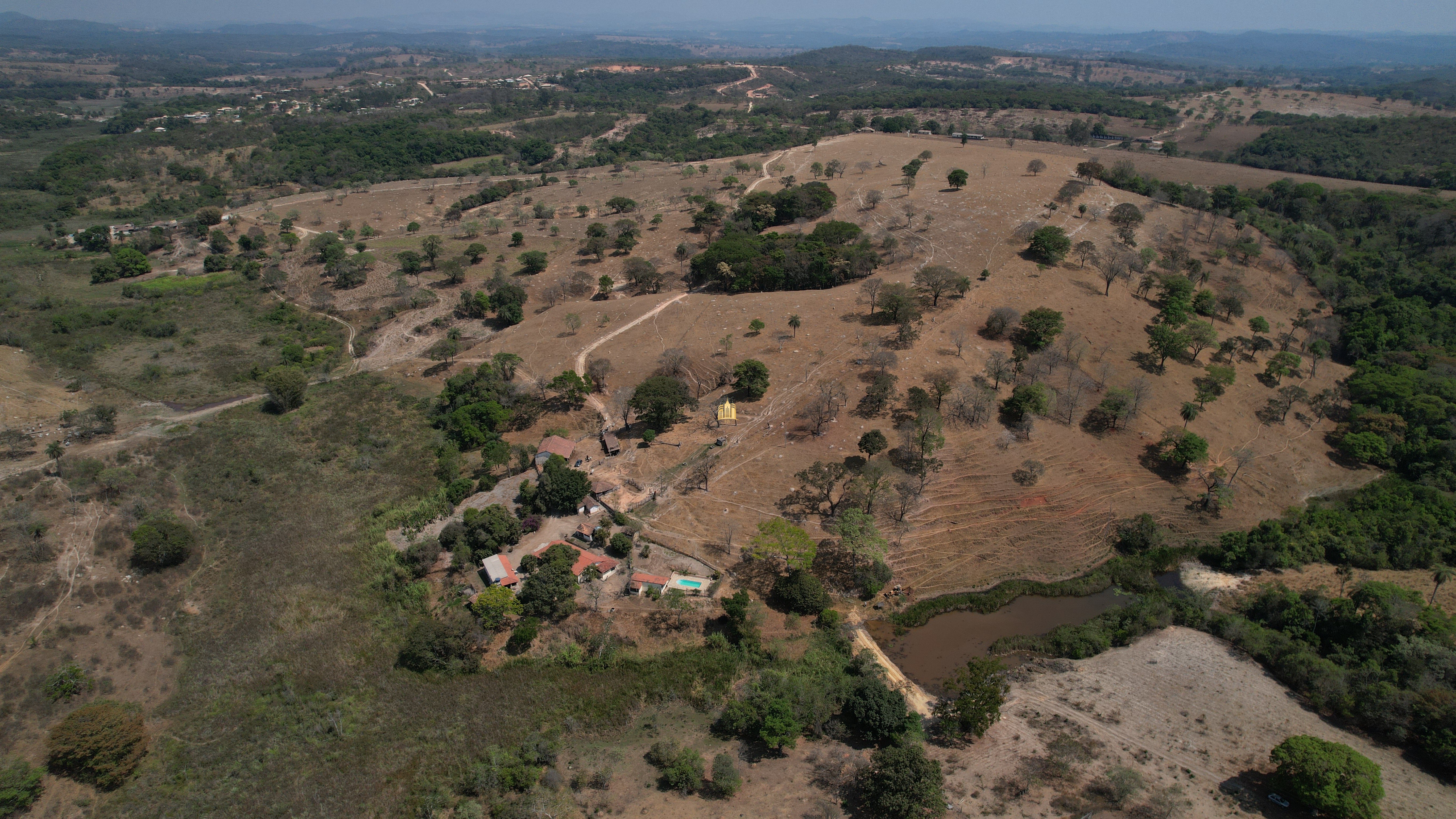 Fazenda à venda, 197000m² - Foto 5