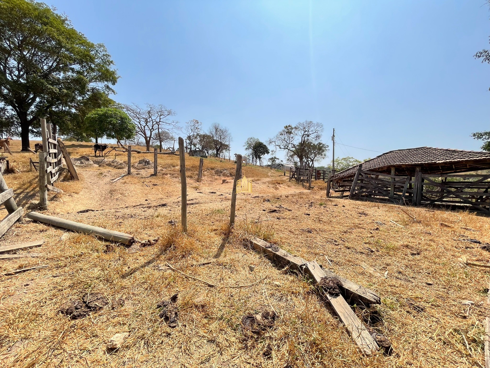 Fazenda à venda, 197000m² - Foto 70