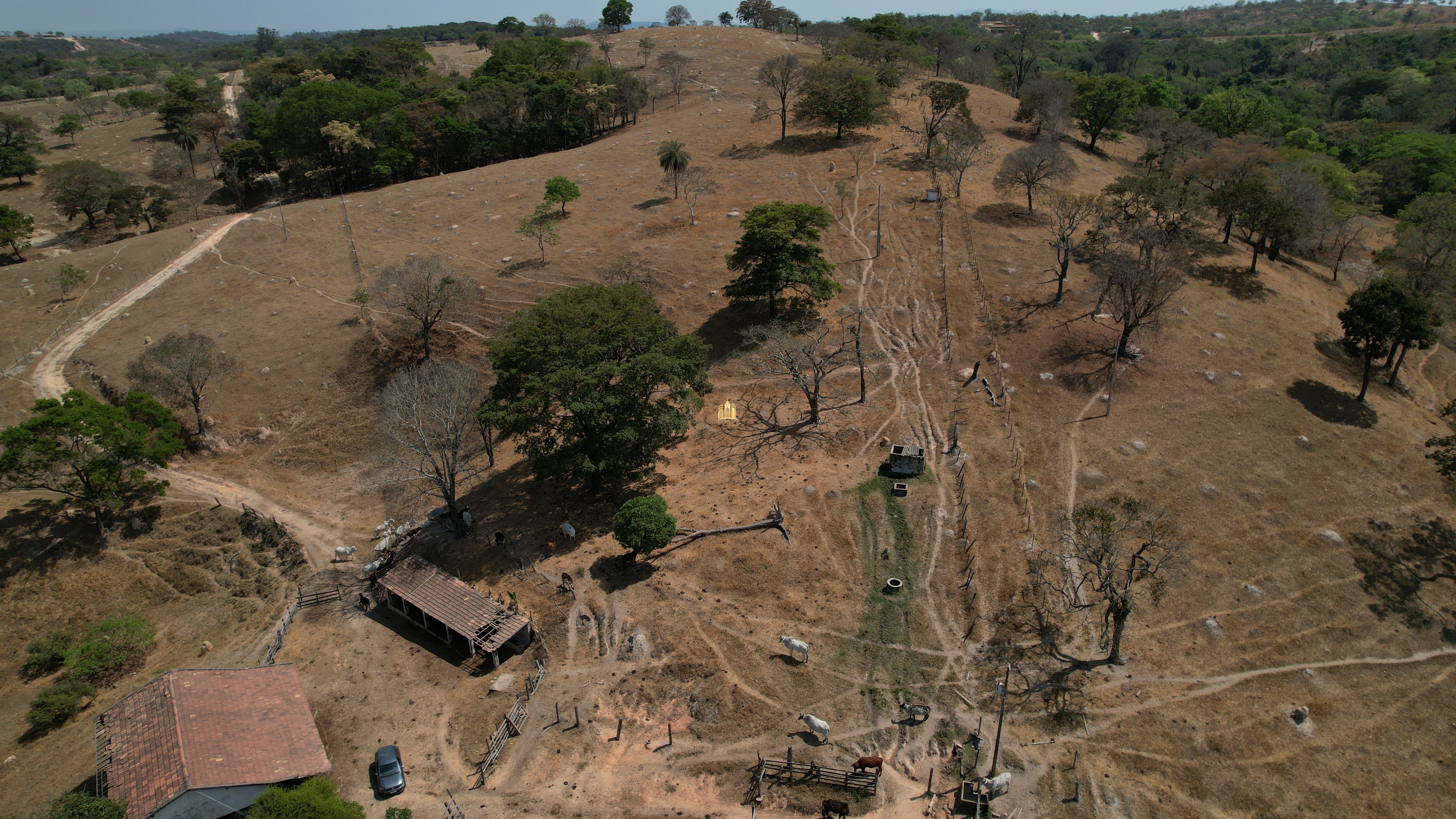 Fazenda à venda, 197000m² - Foto 26