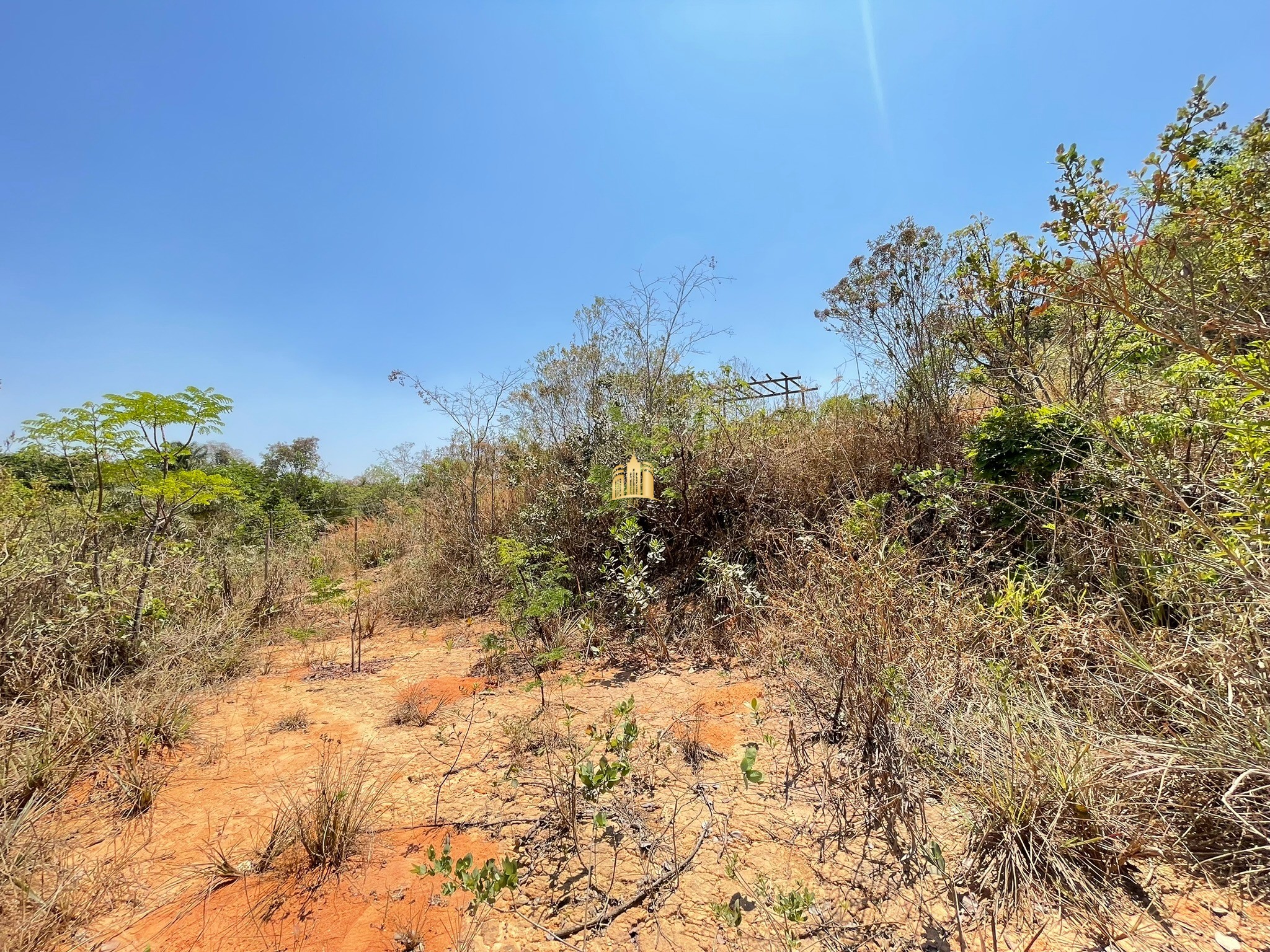 Terreno à venda, 5000m² - Foto 11