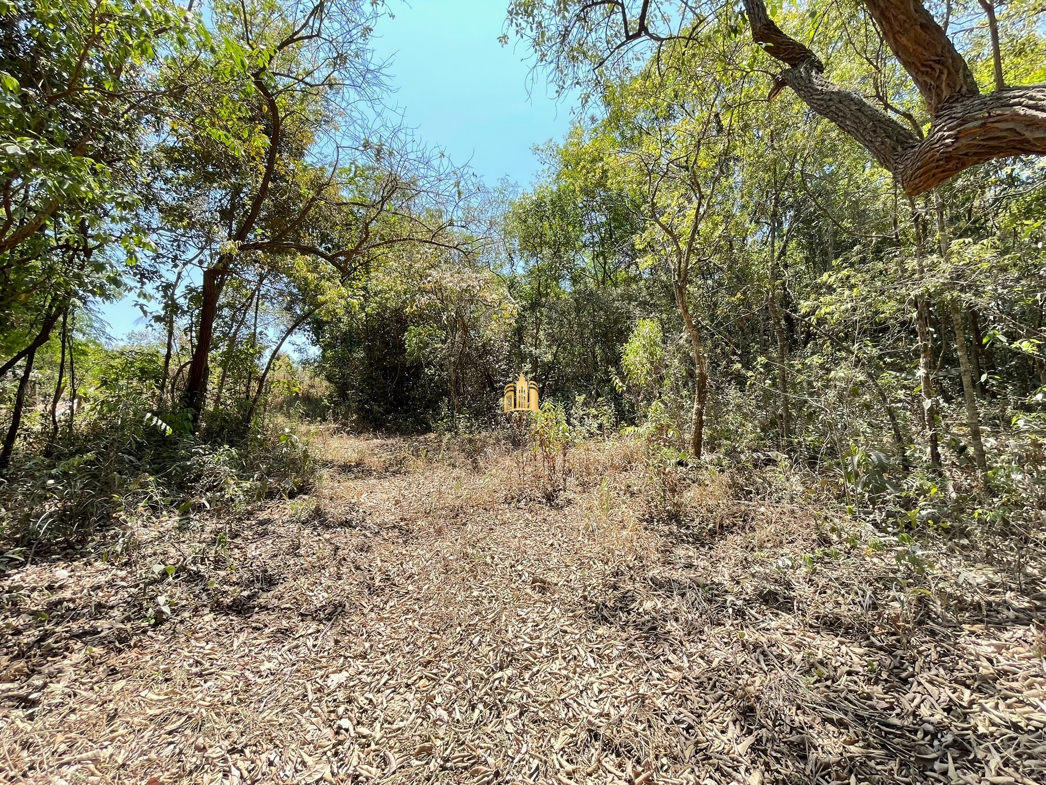 Terreno à venda, 5000m² - Foto 16