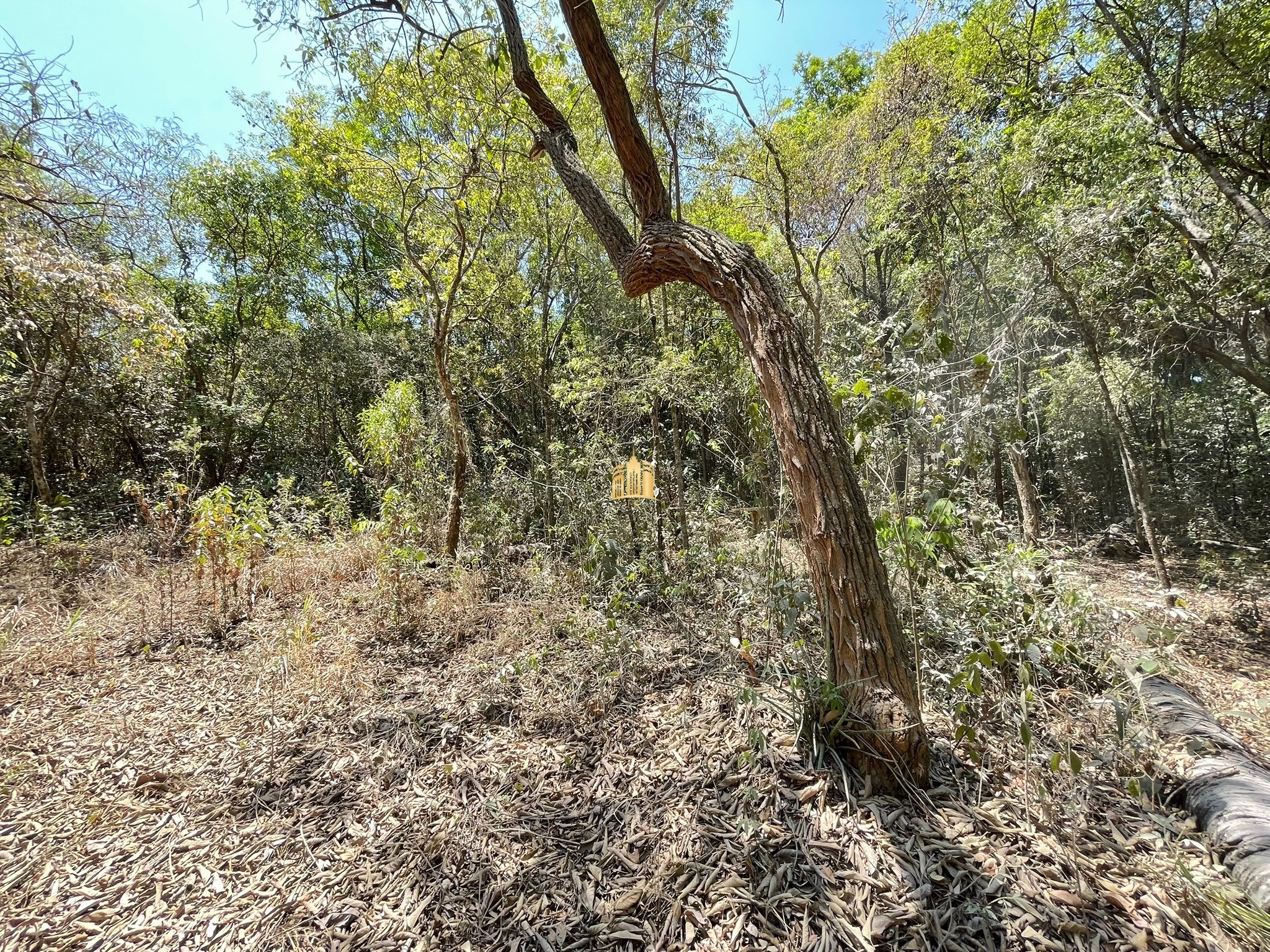 Terreno à venda, 5000m² - Foto 17