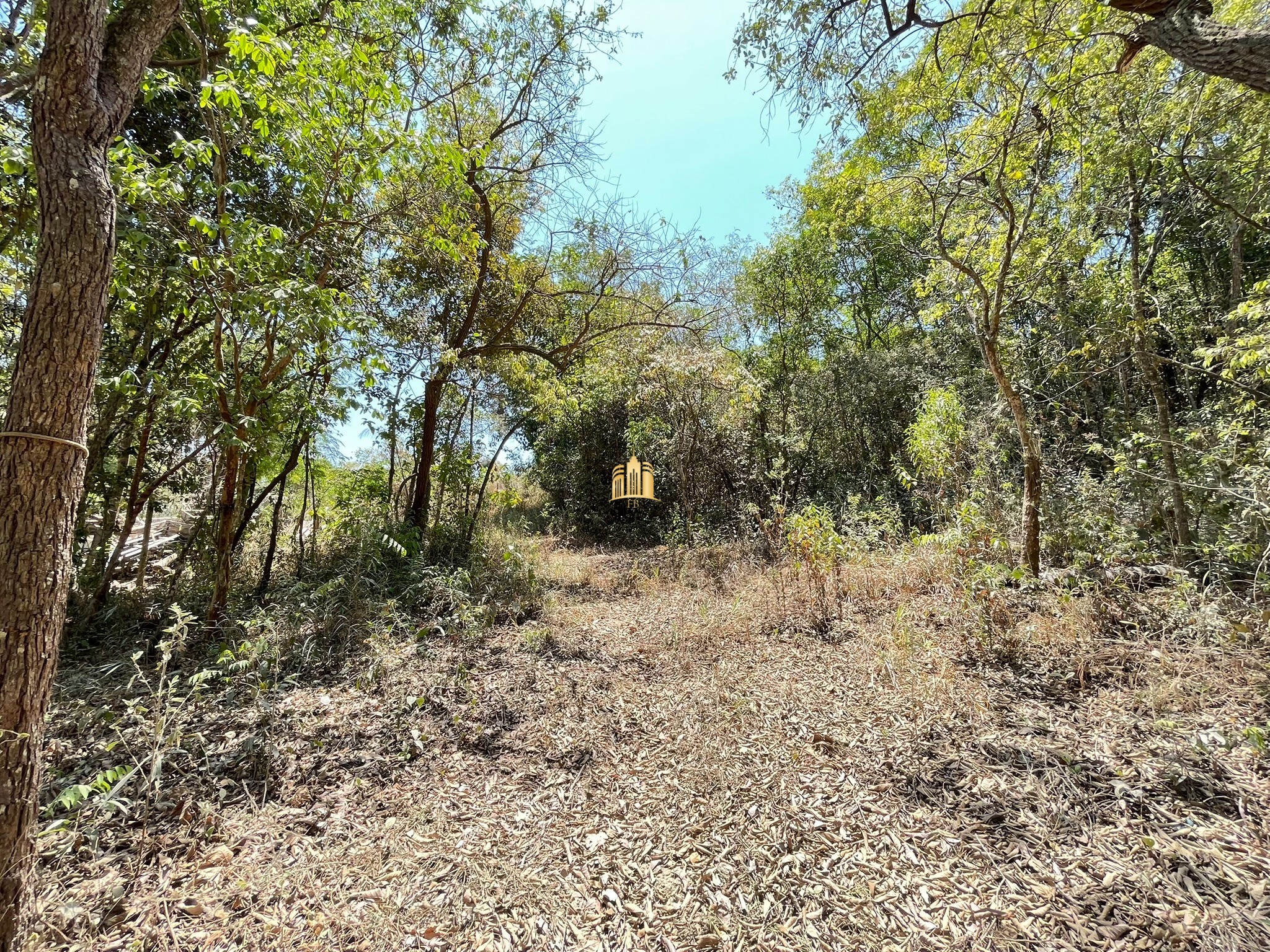 Terreno à venda, 5000m² - Foto 18