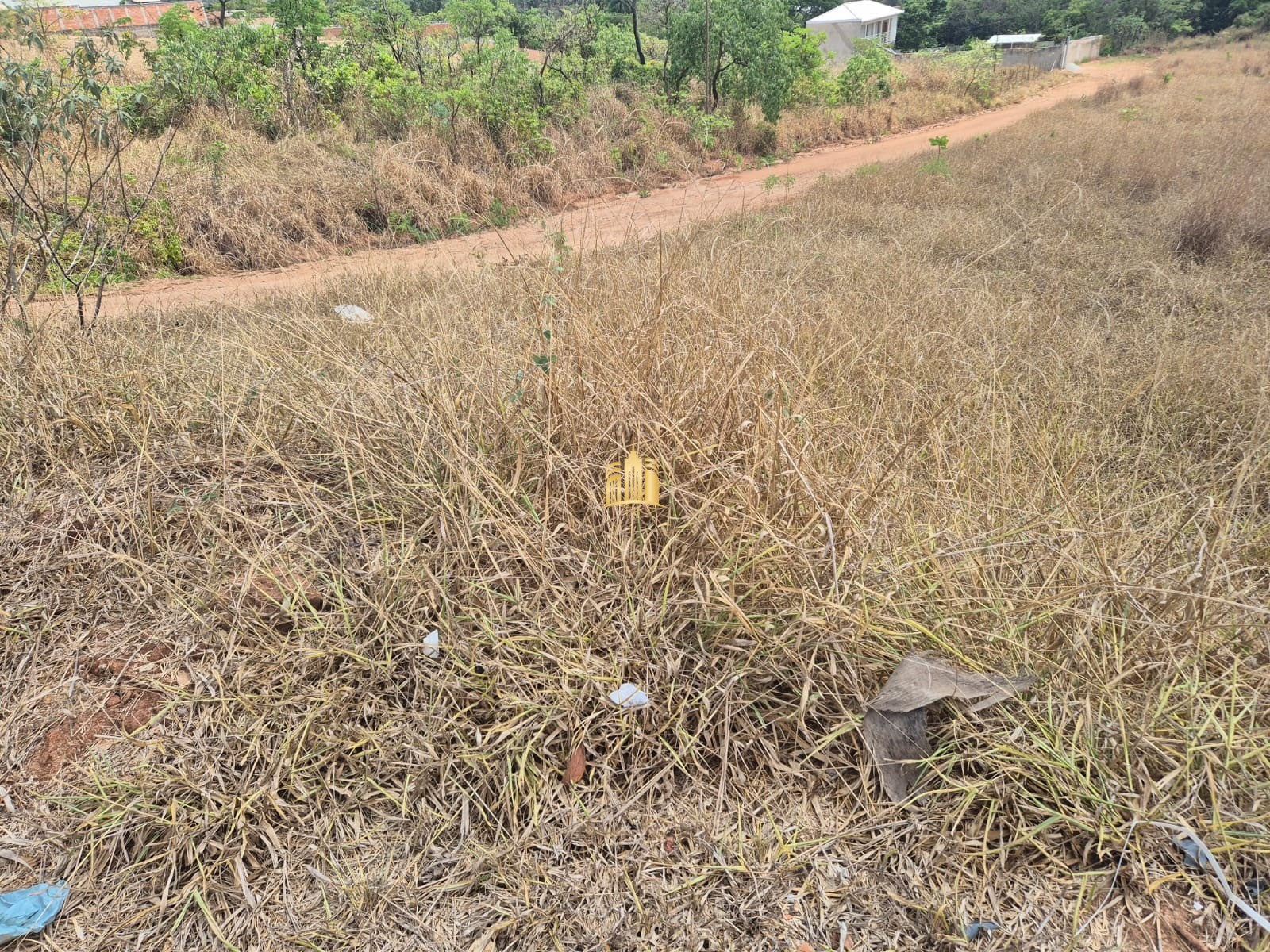 Terreno à venda, 2000m² - Foto 3