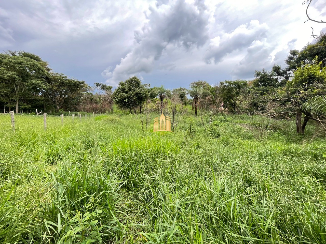 Terreno à venda, 3000m² - Foto 3