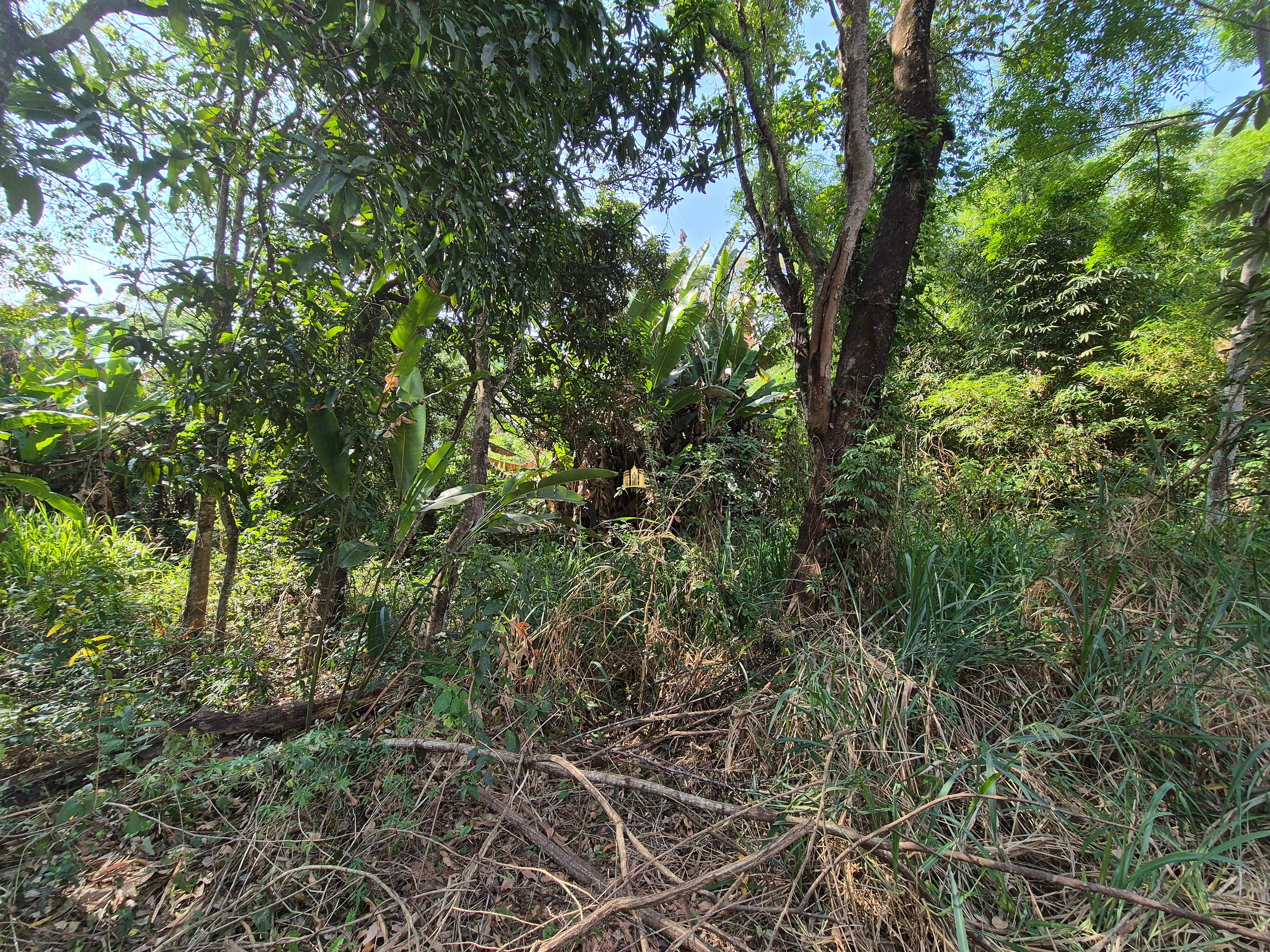 Sítio, 6 quartos, 1696 m² - Foto 38