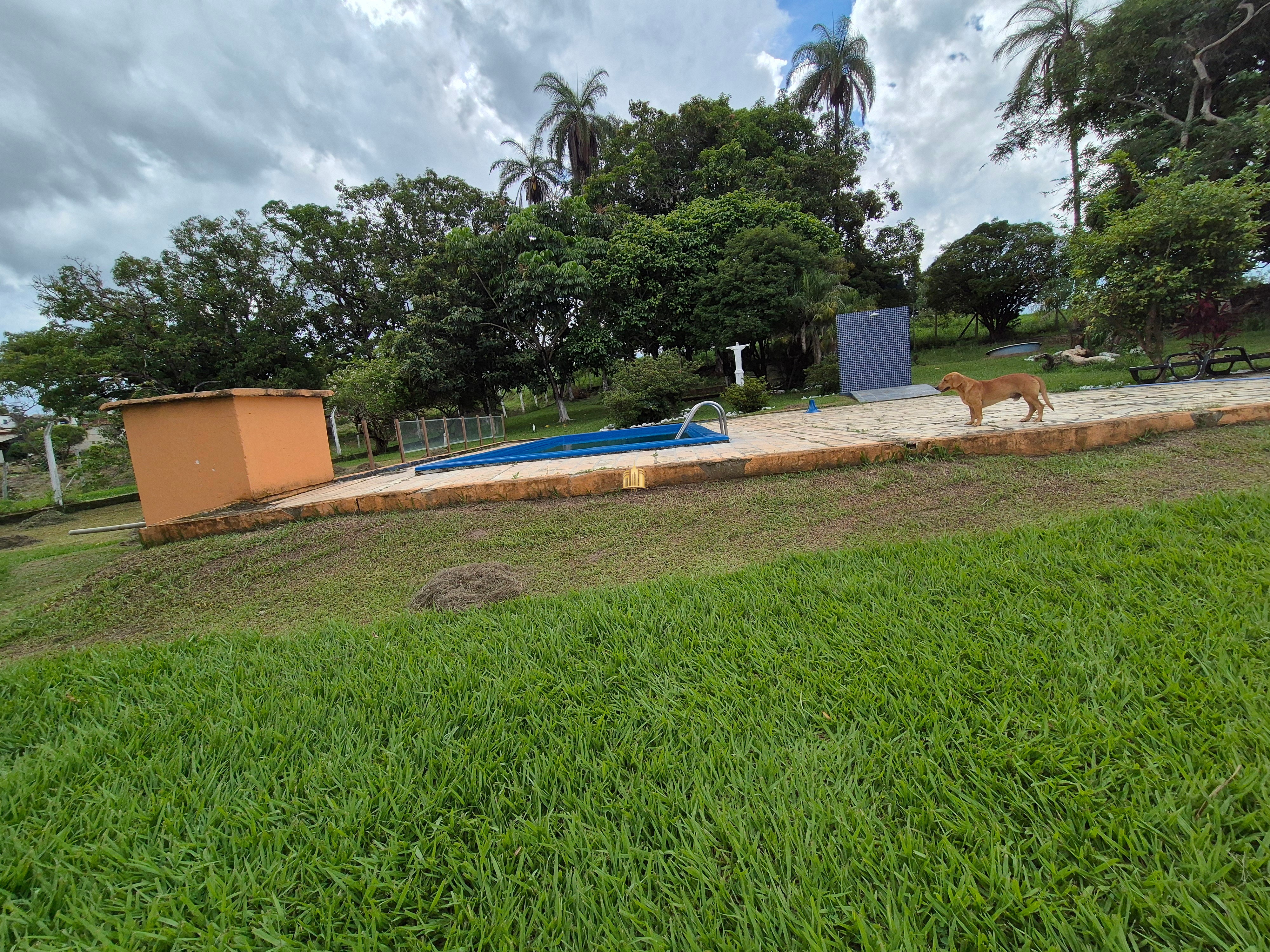 Fazenda à venda com 8 quartos, 90000m² - Foto 31