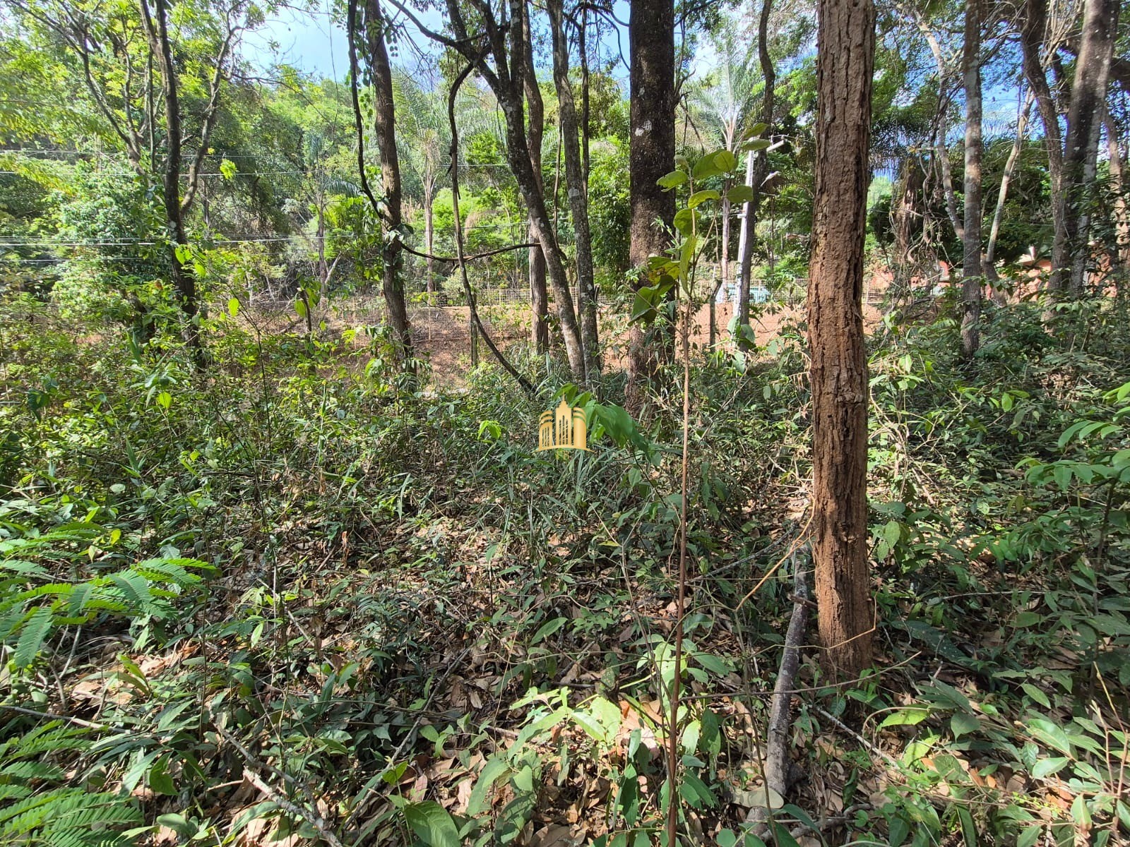 Terreno à venda, 1100m² - Foto 5