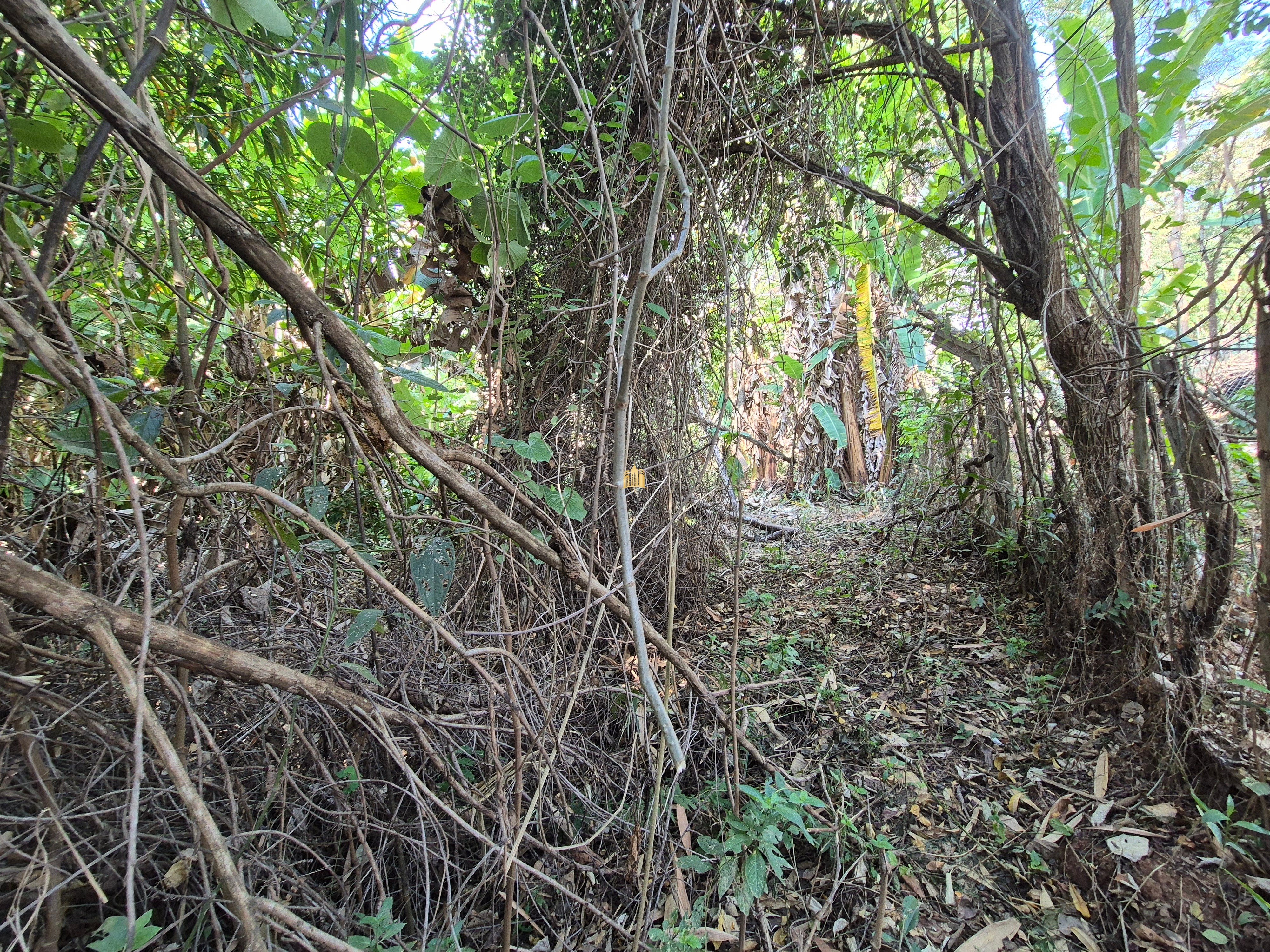 Sítio, 6 quartos, 1696 m² - Foto 34