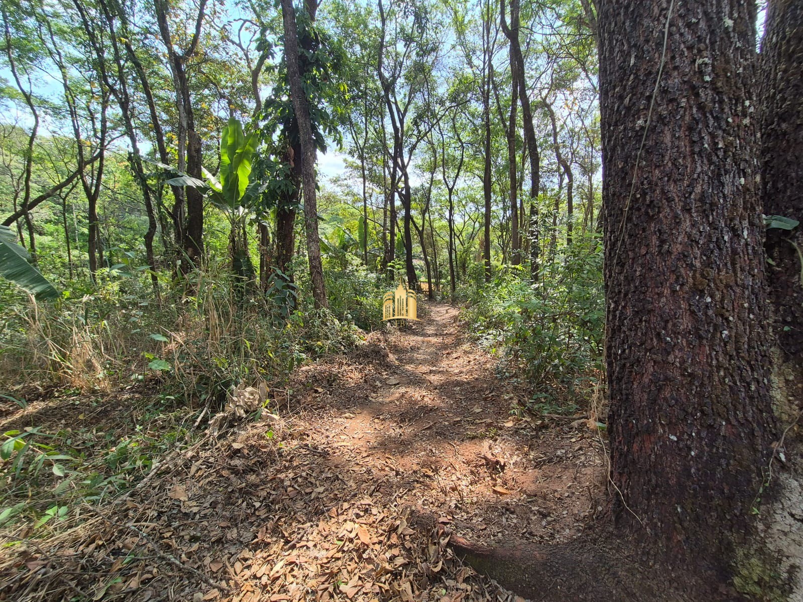 Terreno à venda, 1100m² - Foto 9