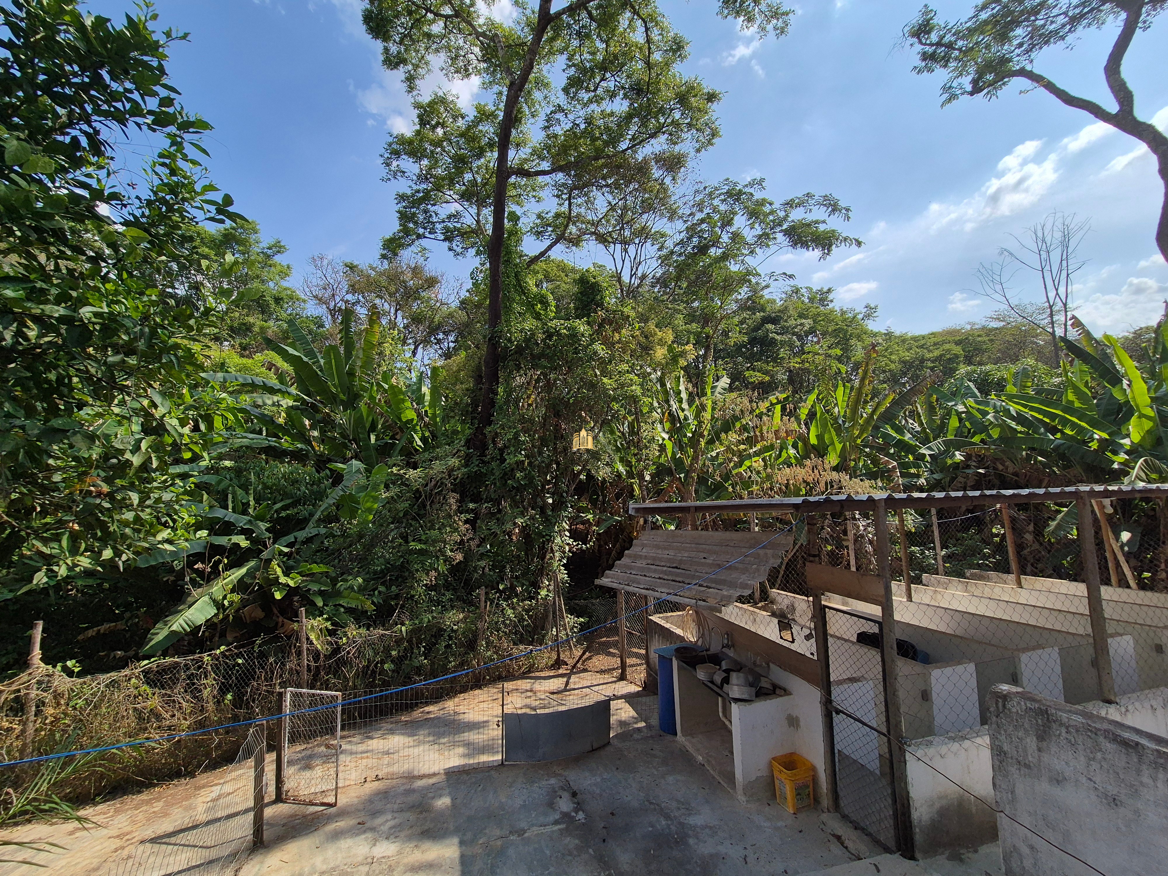 Sítio, 2 quartos, 1497 m² - Foto 29