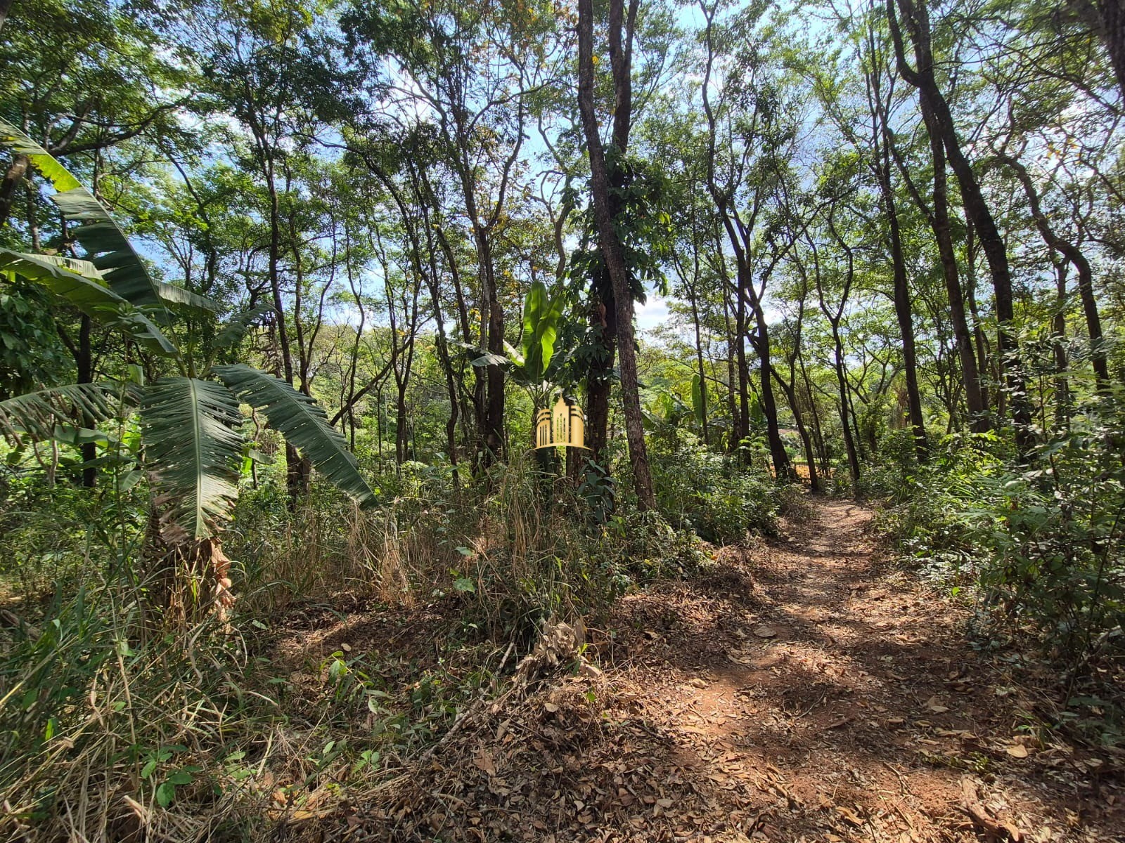 Terreno à venda, 1100m² - Foto 1