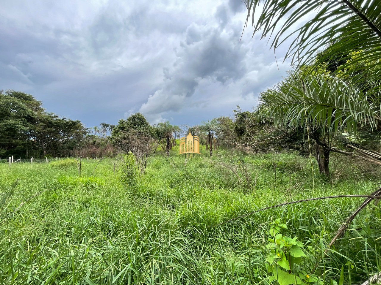 Terreno à venda, 3000m² - Foto 12