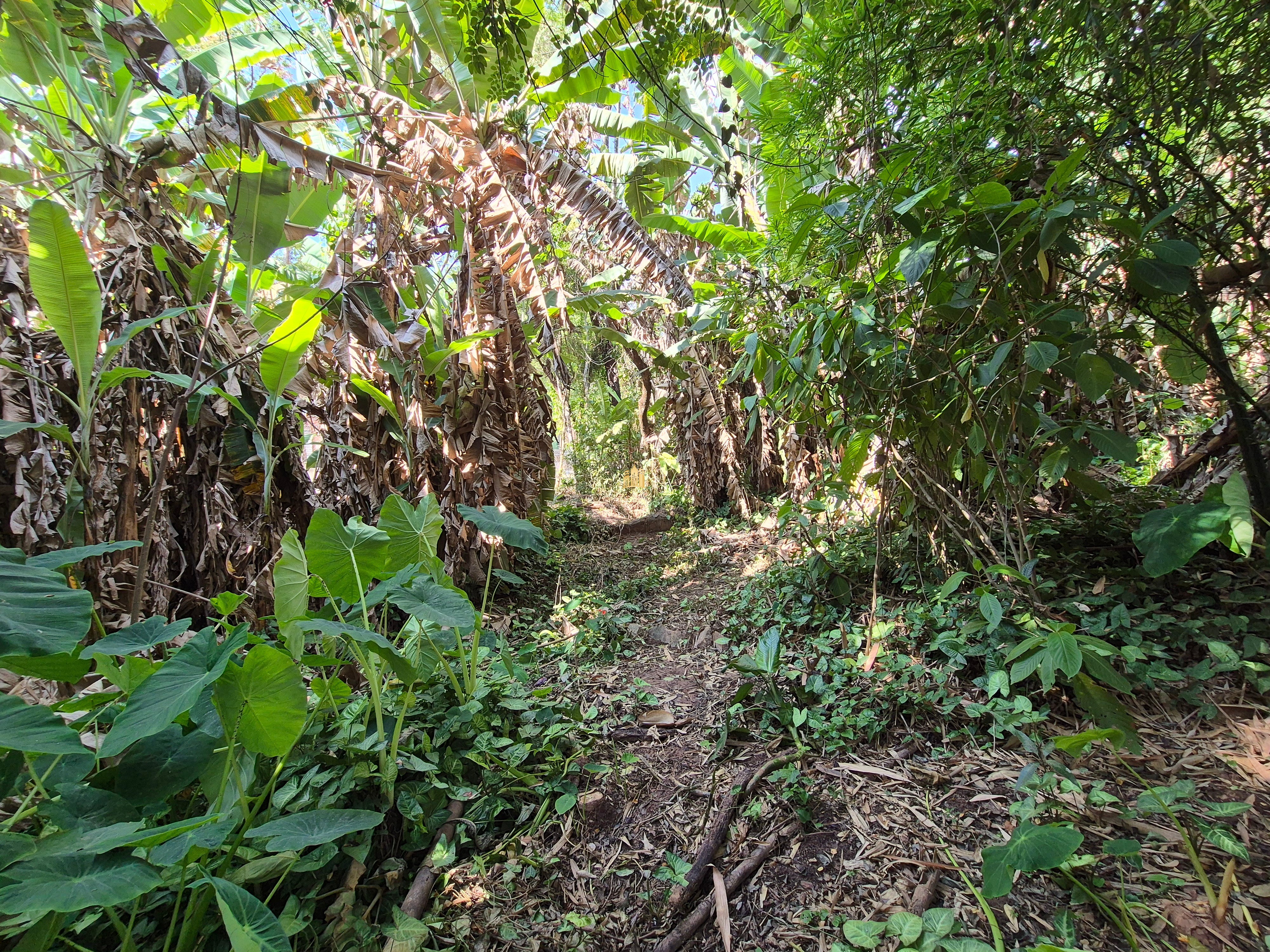 Sítio, 6 quartos, 1696 m² - Foto 41