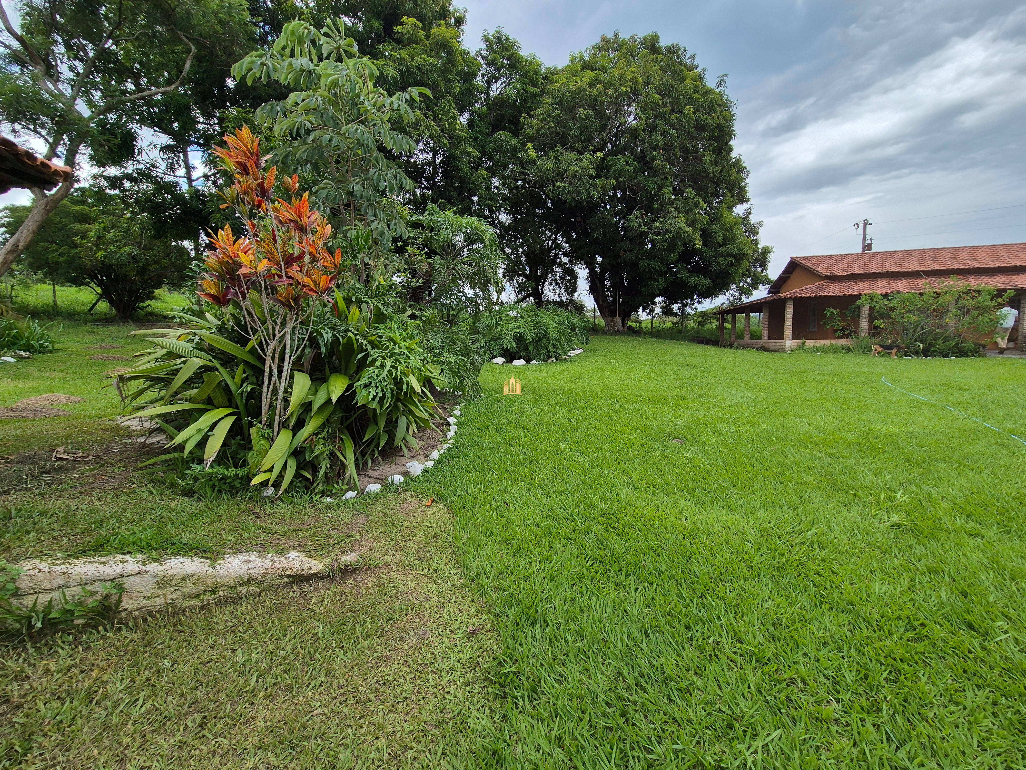 Fazenda à venda com 8 quartos, 90000m² - Foto 3