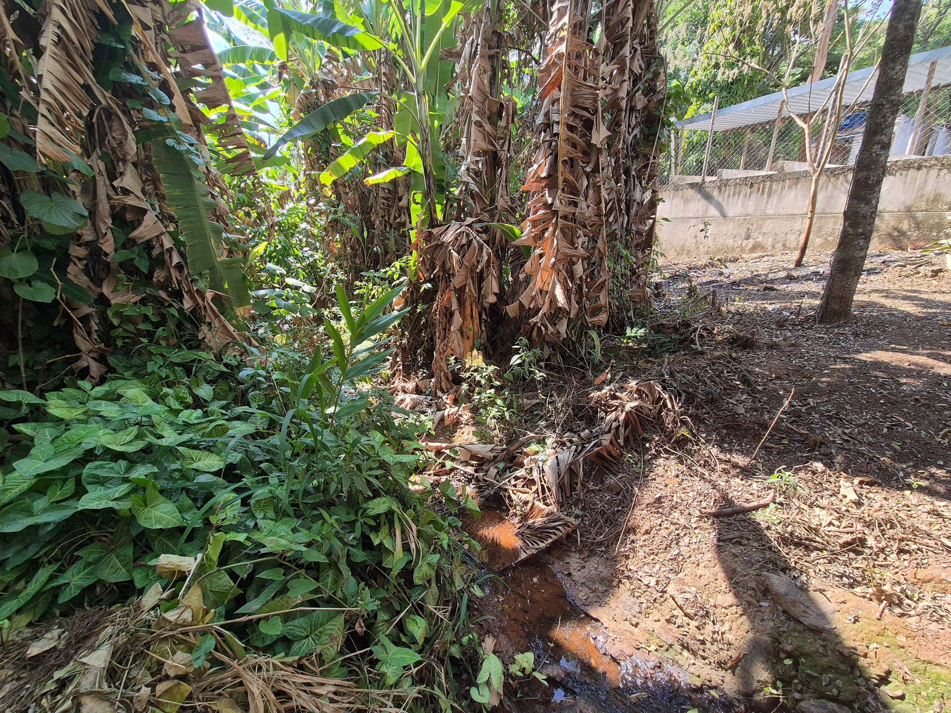 Sítio, 6 quartos, 1696 m² - Foto 32