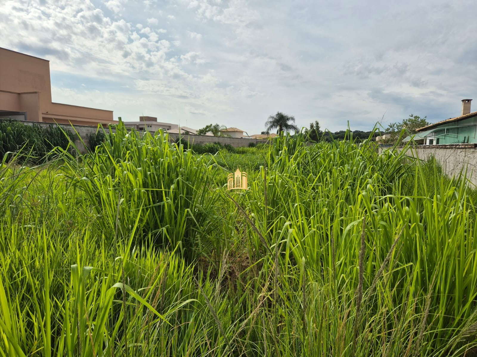 Terreno à venda, 1100m² - Foto 2