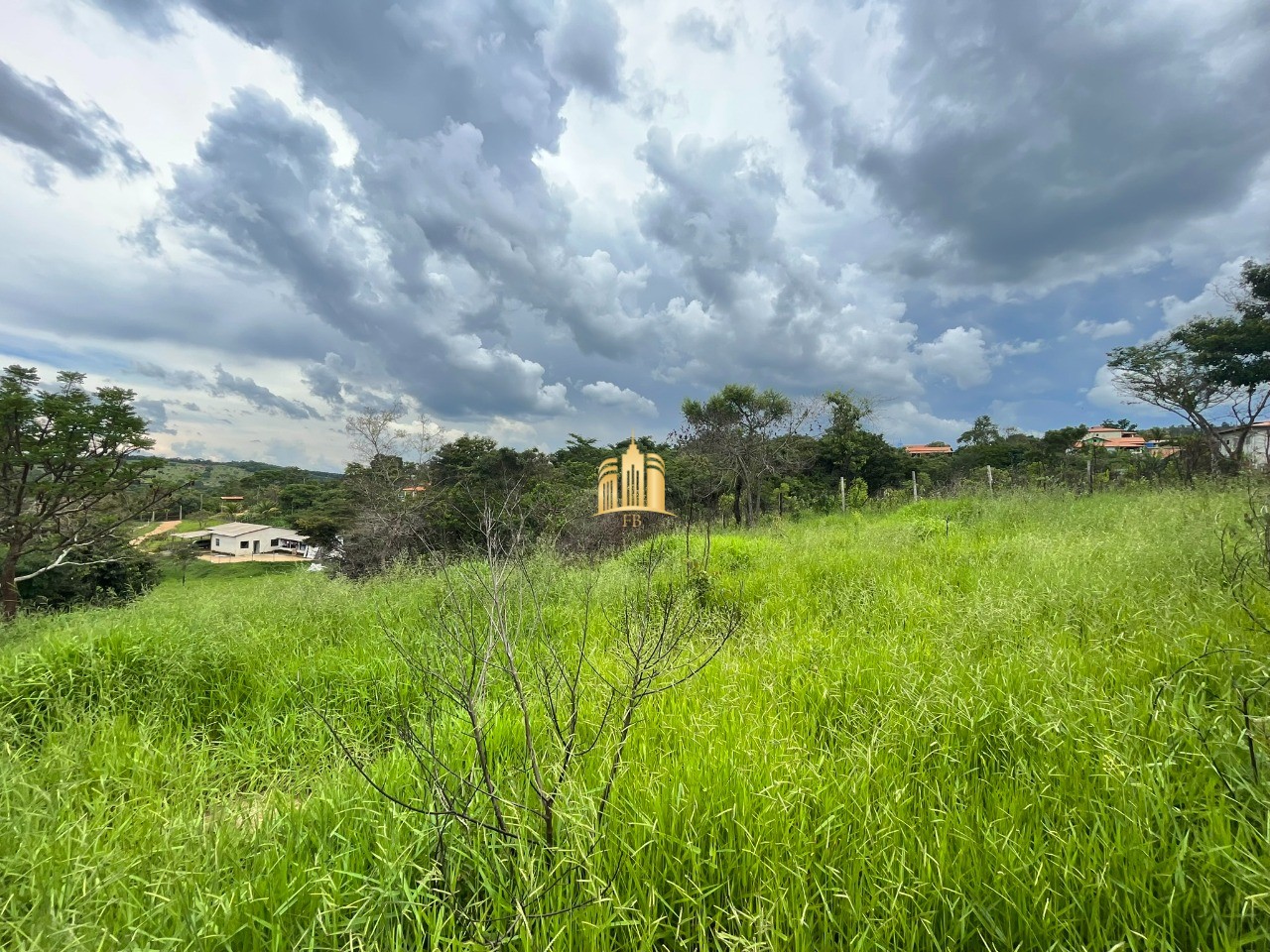 Terreno à venda, 3000m² - Foto 6