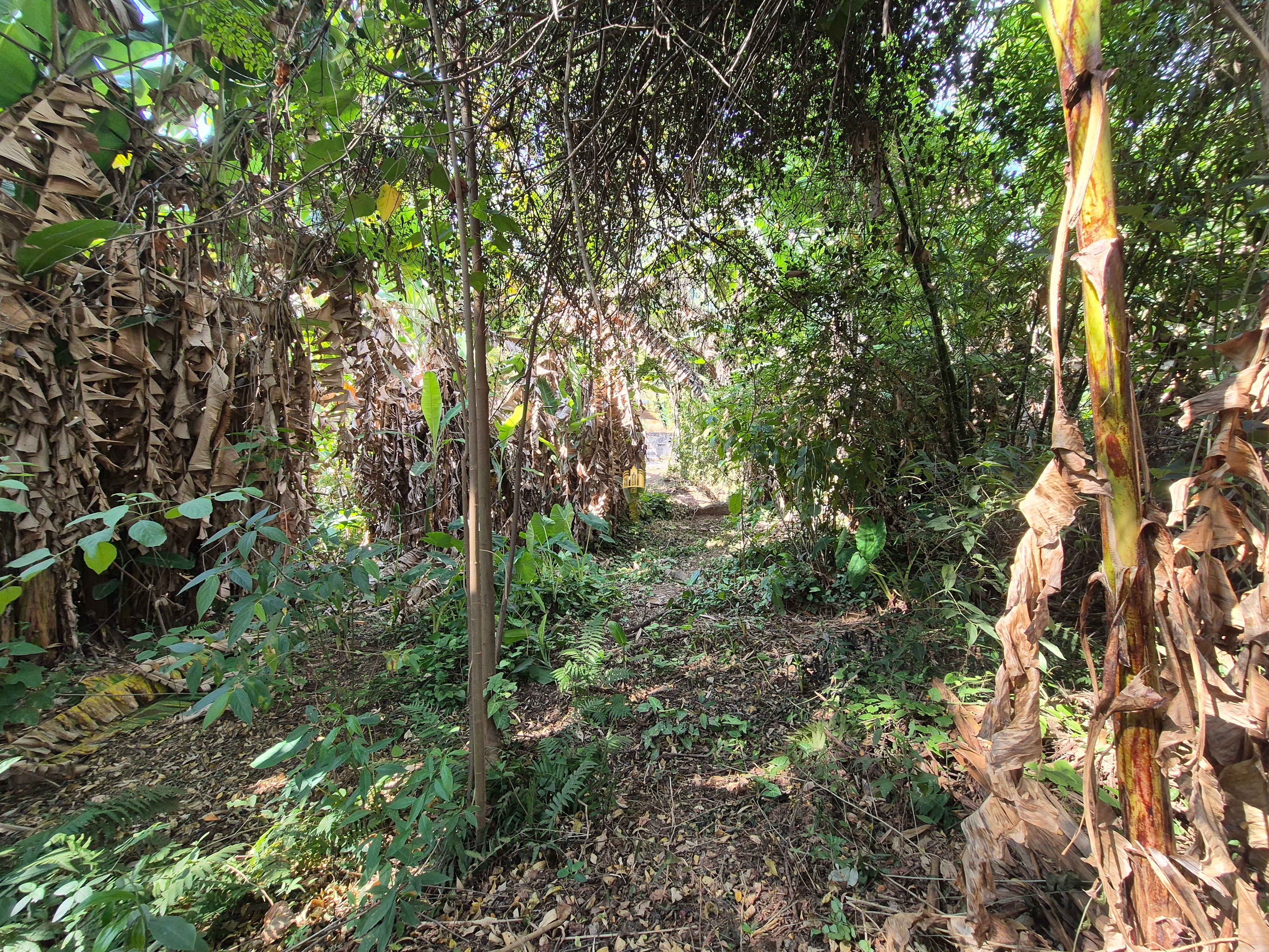 Sítio, 6 quartos, 1696 m² - Foto 45