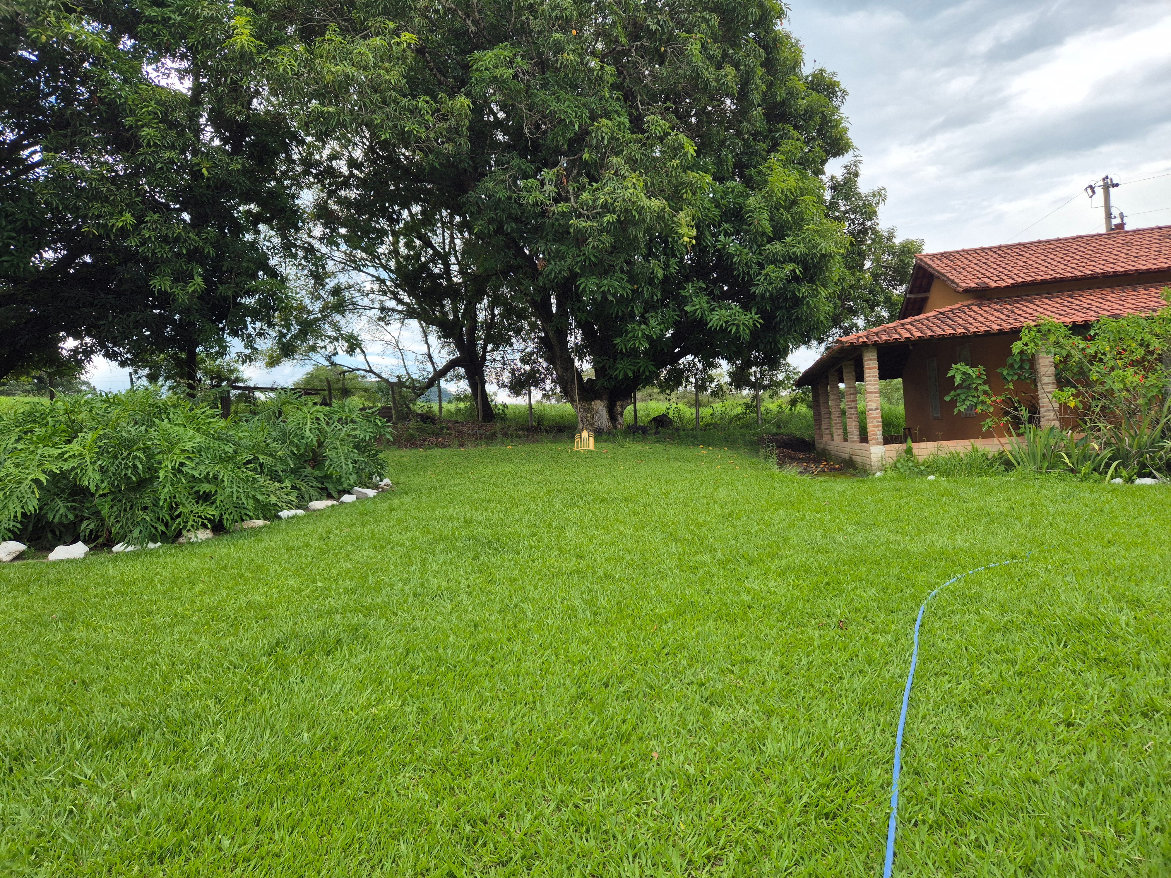 Fazenda à venda com 8 quartos, 90000m² - Foto 2