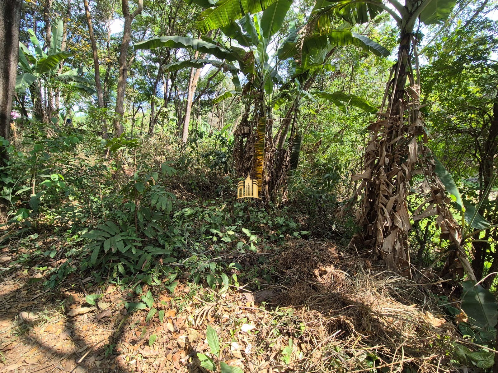 Terreno à venda, 1100m² - Foto 3