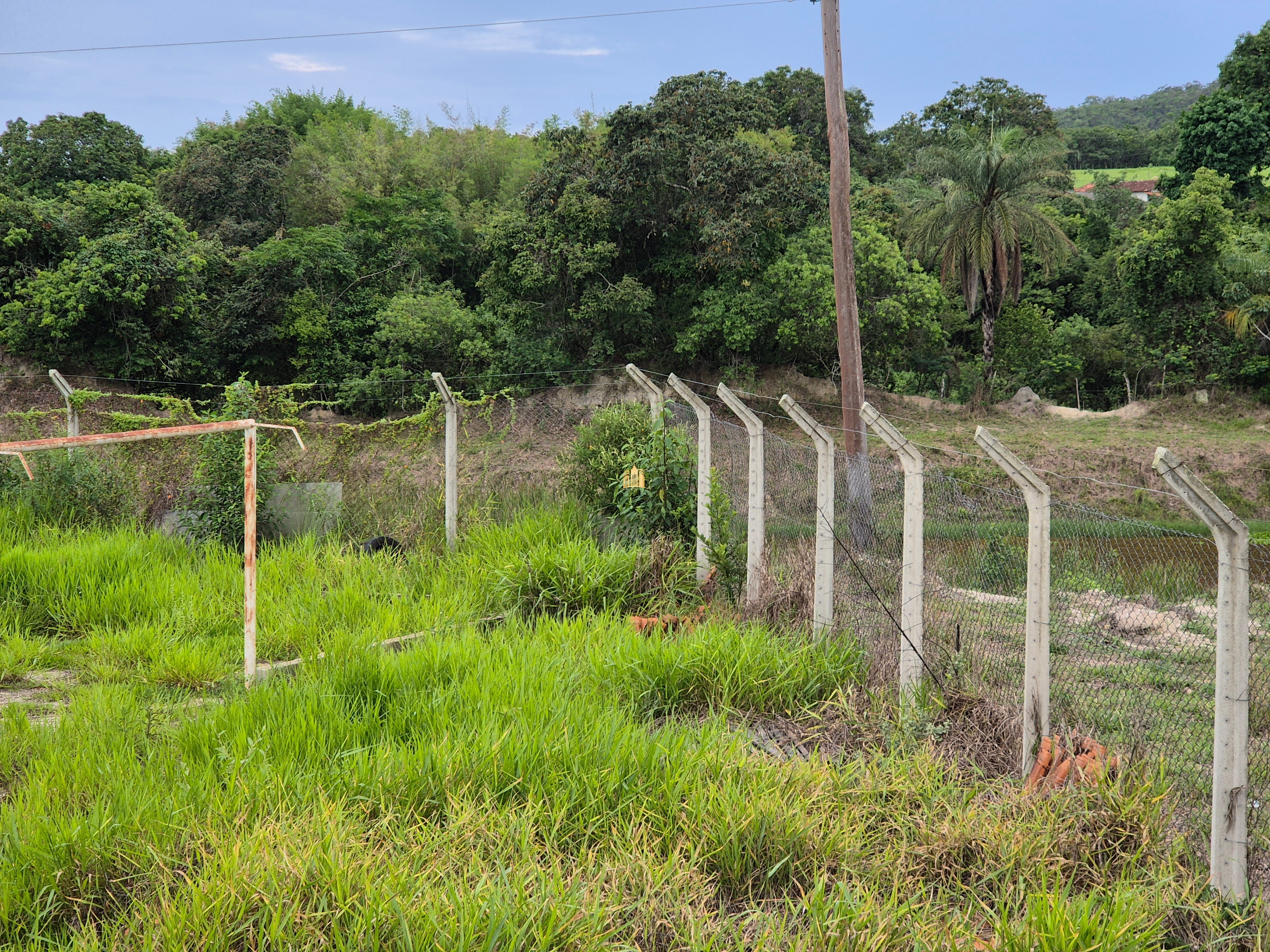 Fazenda à venda com 8 quartos, 90000m² - Foto 64