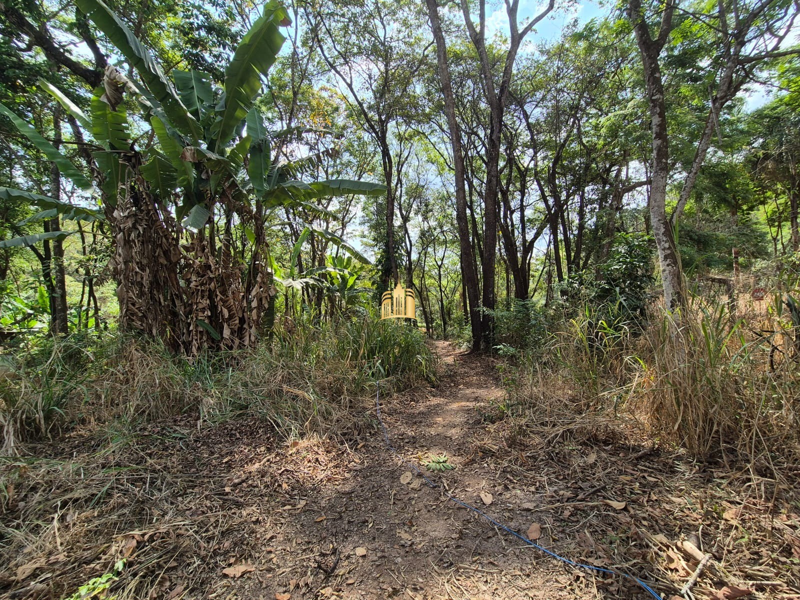 Terreno à venda, 1100m² - Foto 2