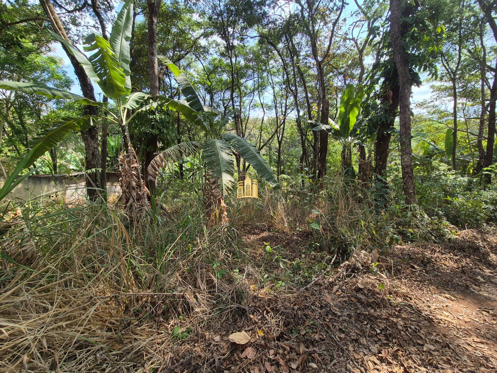 Terreno à venda, 1100m² - Foto 8