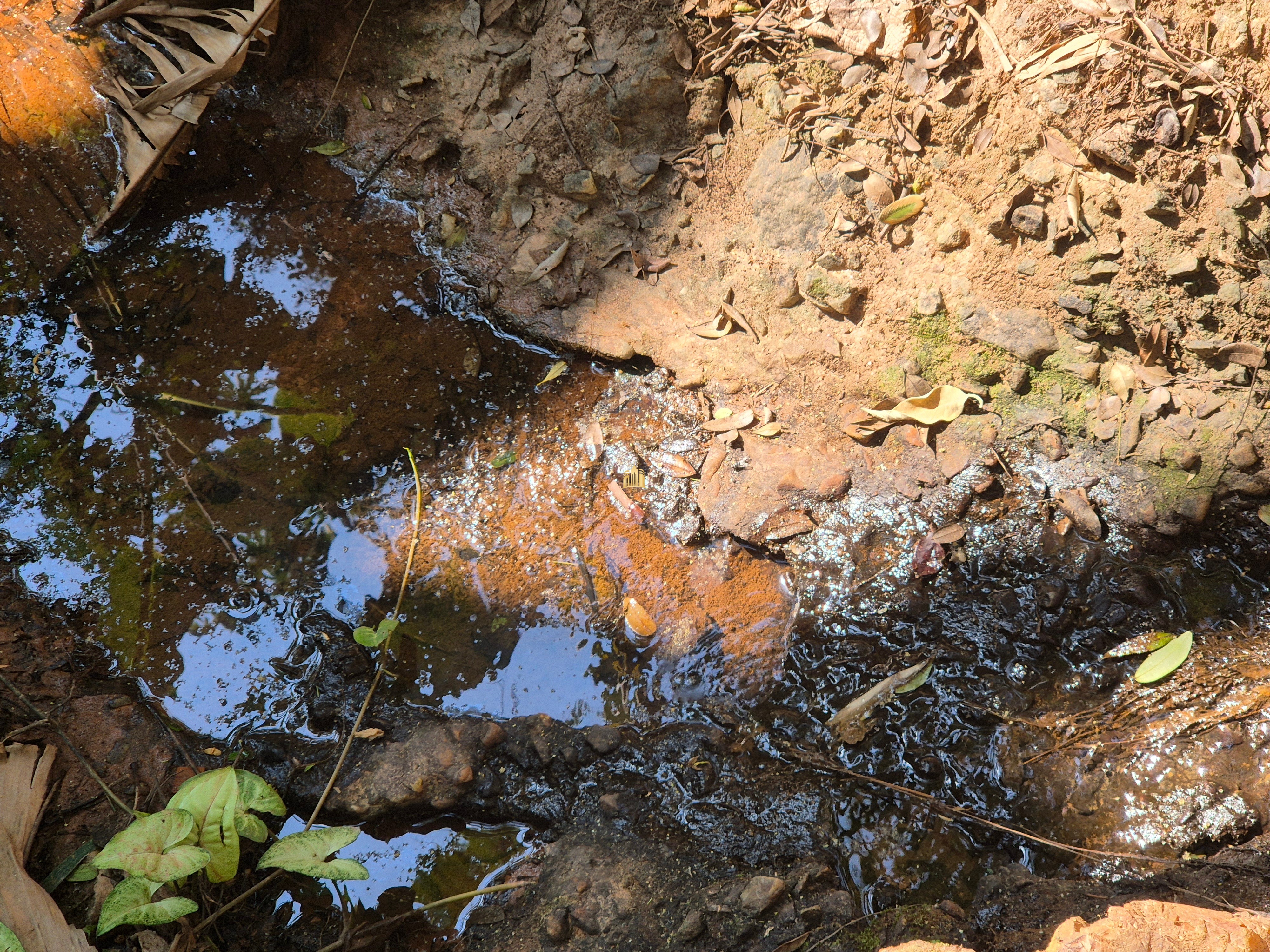 Sítio, 6 quartos, 1696 m² - Foto 42