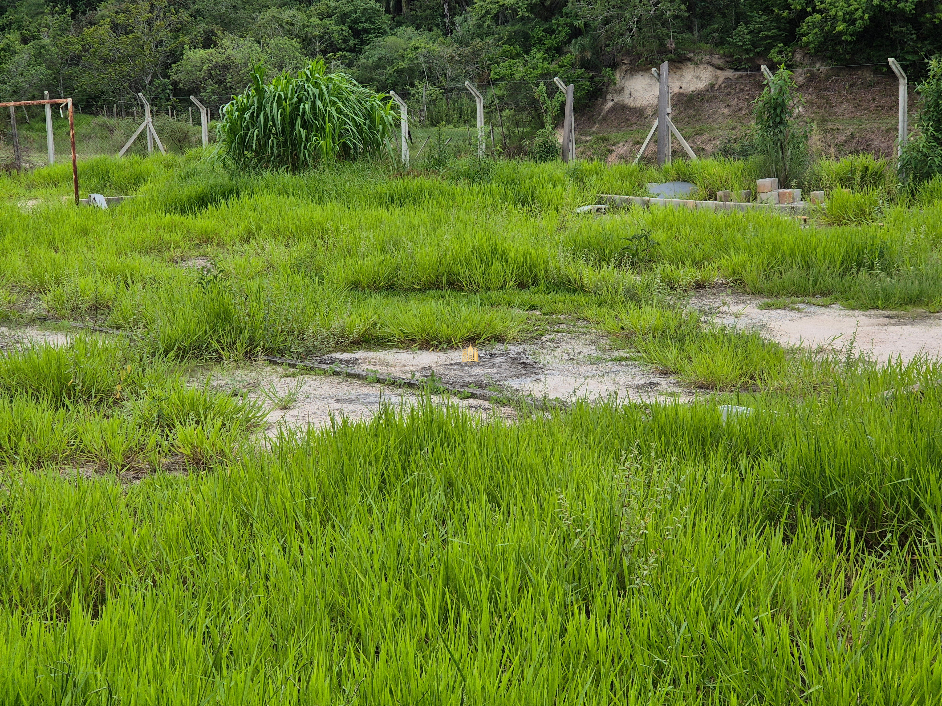 Fazenda à venda com 8 quartos, 90000m² - Foto 62