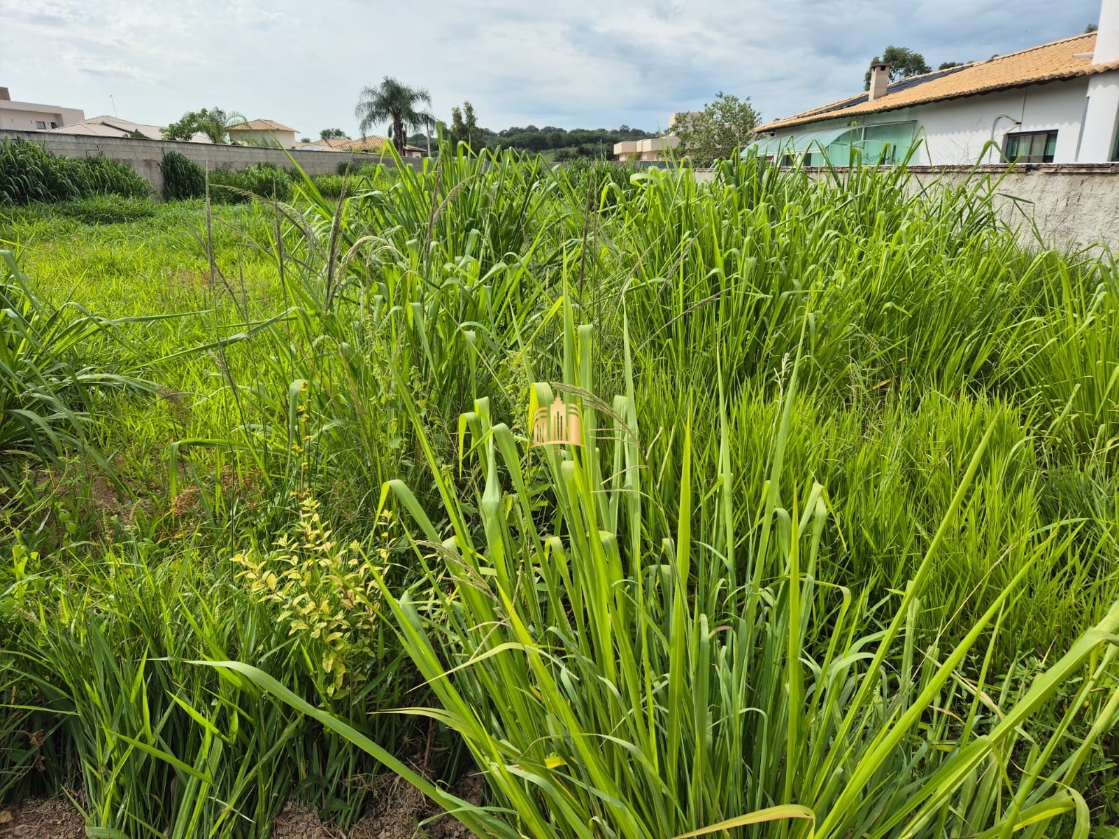 Terreno à venda, 1100m² - Foto 4