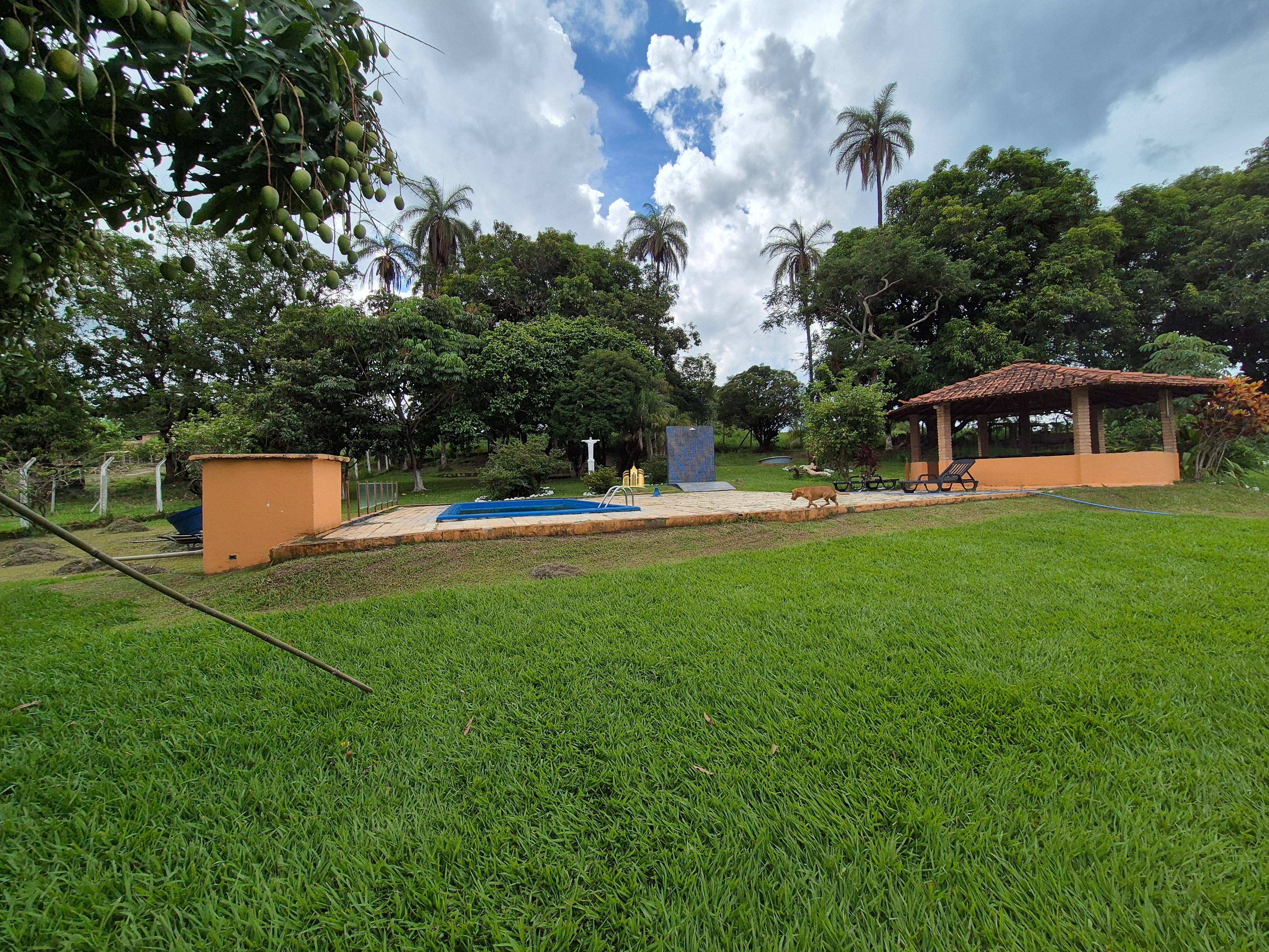 Fazenda à venda com 8 quartos, 90000m² - Foto 30