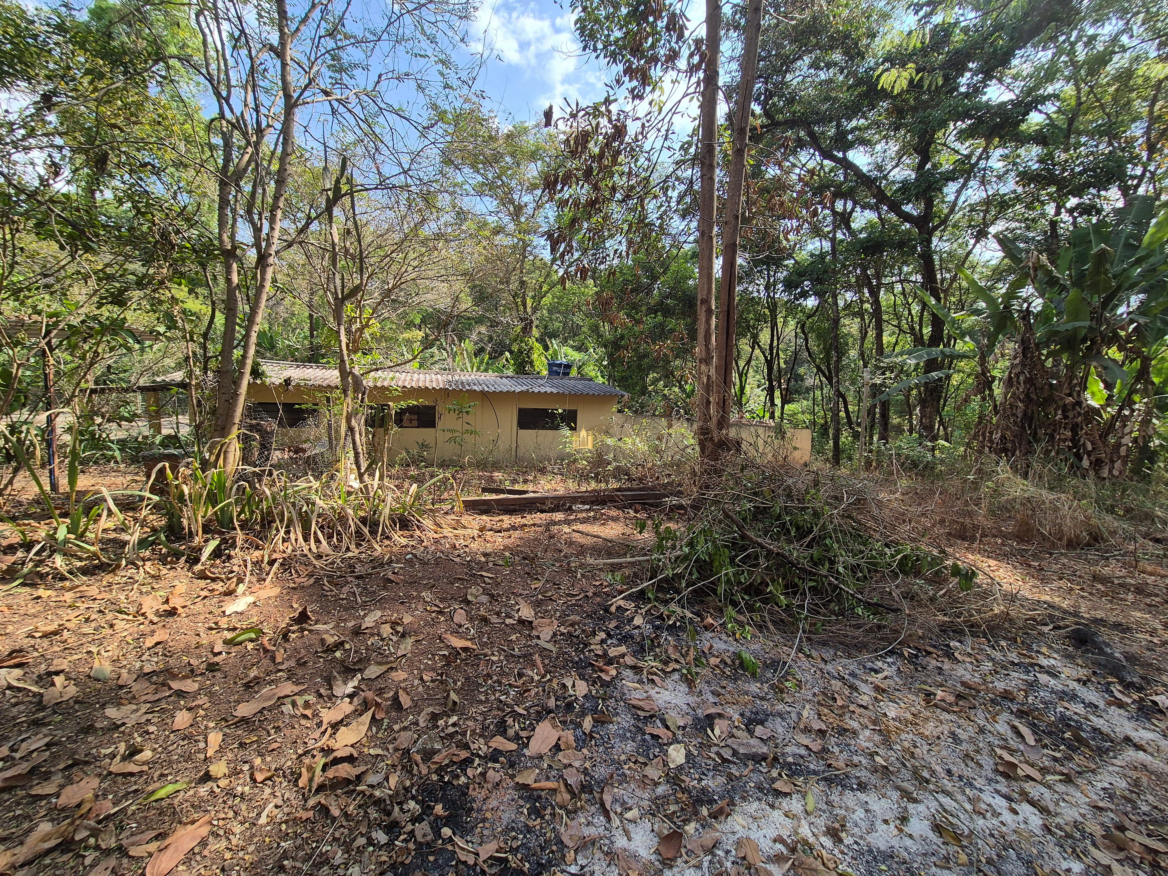 Sítio, 2 quartos, 1497 m² - Foto 18