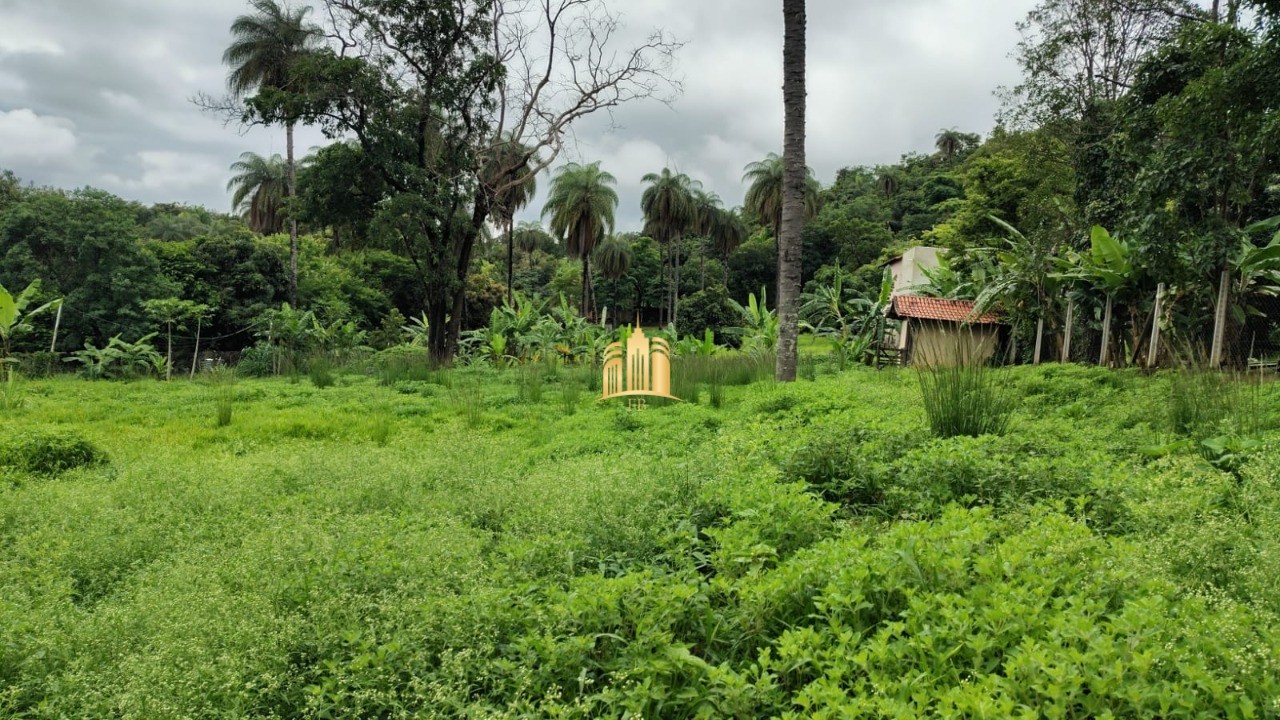 Terreno à venda, 5000m² - Foto 2