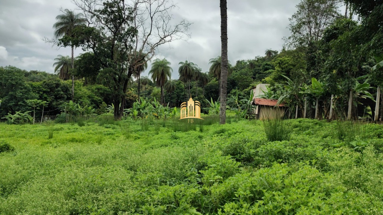 Terreno à venda, 5000m² - Foto 6