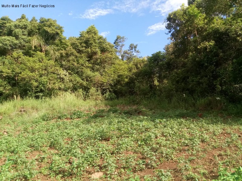 TERRENO RESIDENCIAL em Nova Petrópolis - RS, Germânia