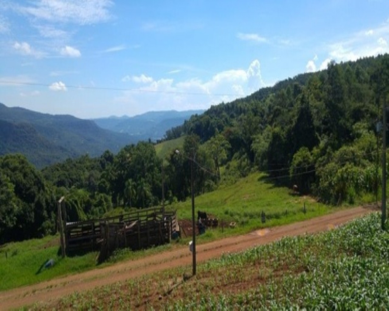 SITIO RURAL em Nova Petrópolis - RS, Santa Inês
