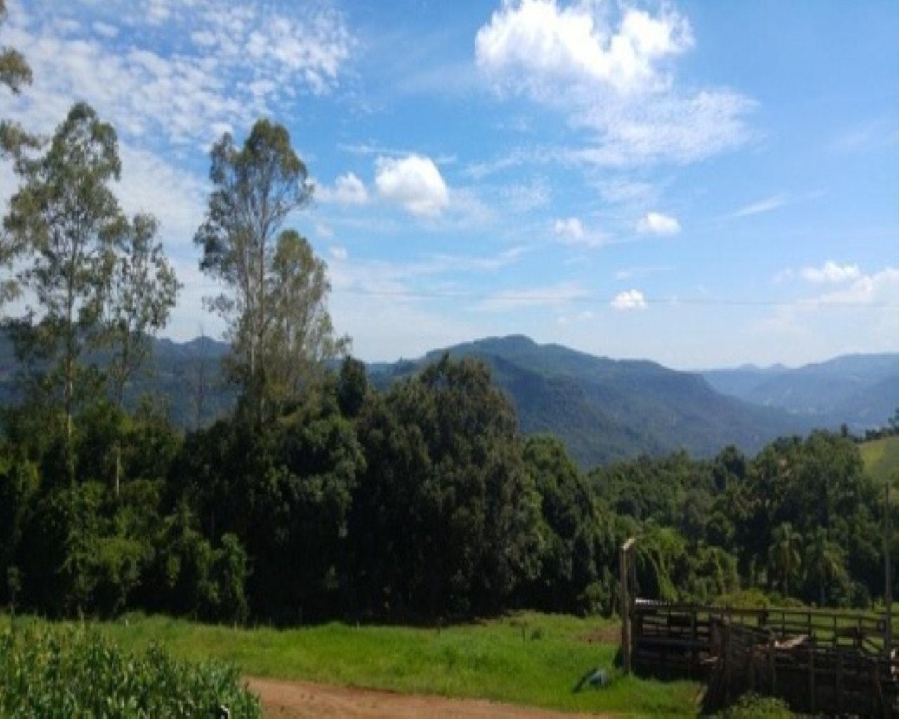 SITIO RURAL em Nova Petrópolis - RS, Santa Inês